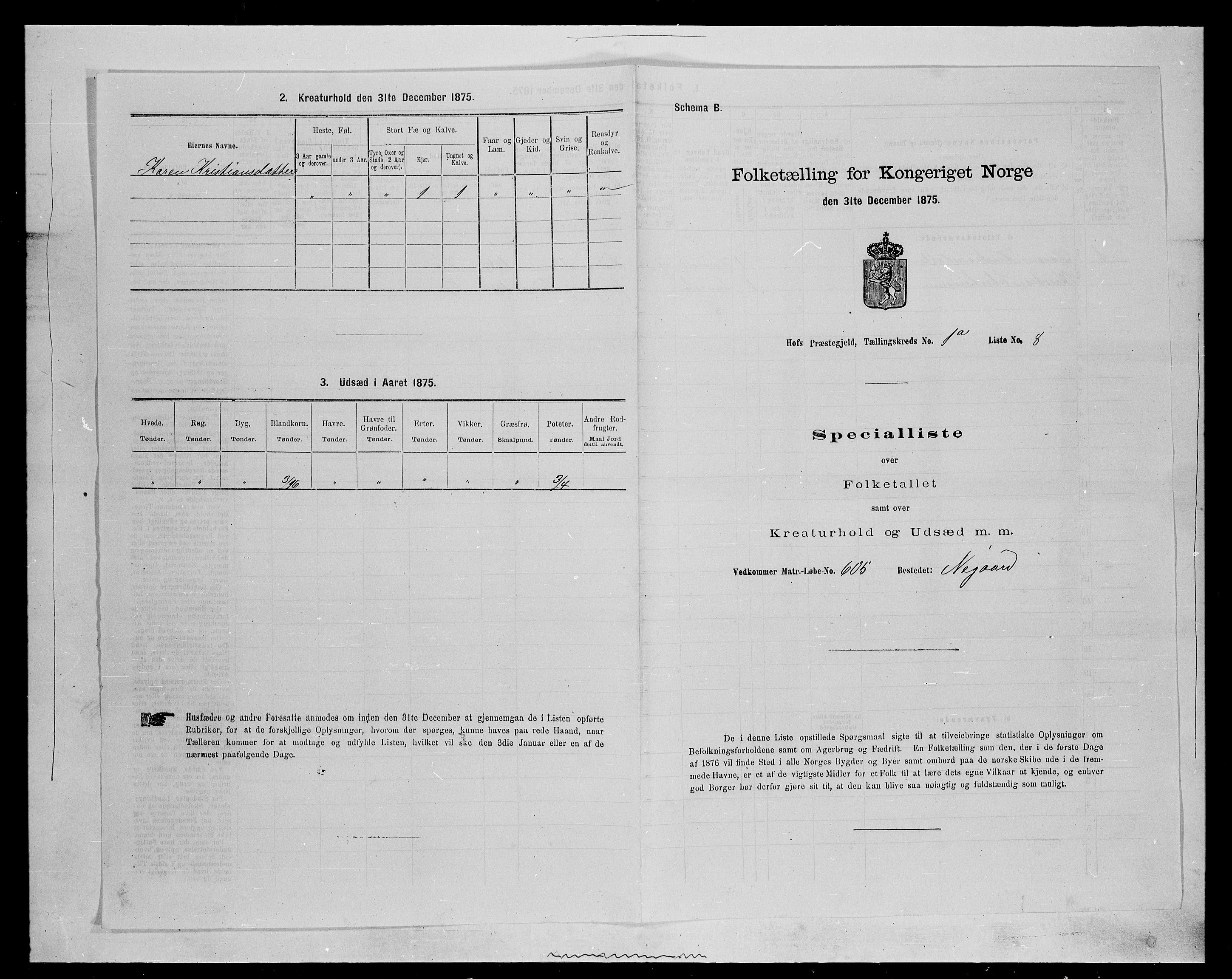 SAH, Folketelling 1875 for 0424P Hof prestegjeld, 1875, s. 24