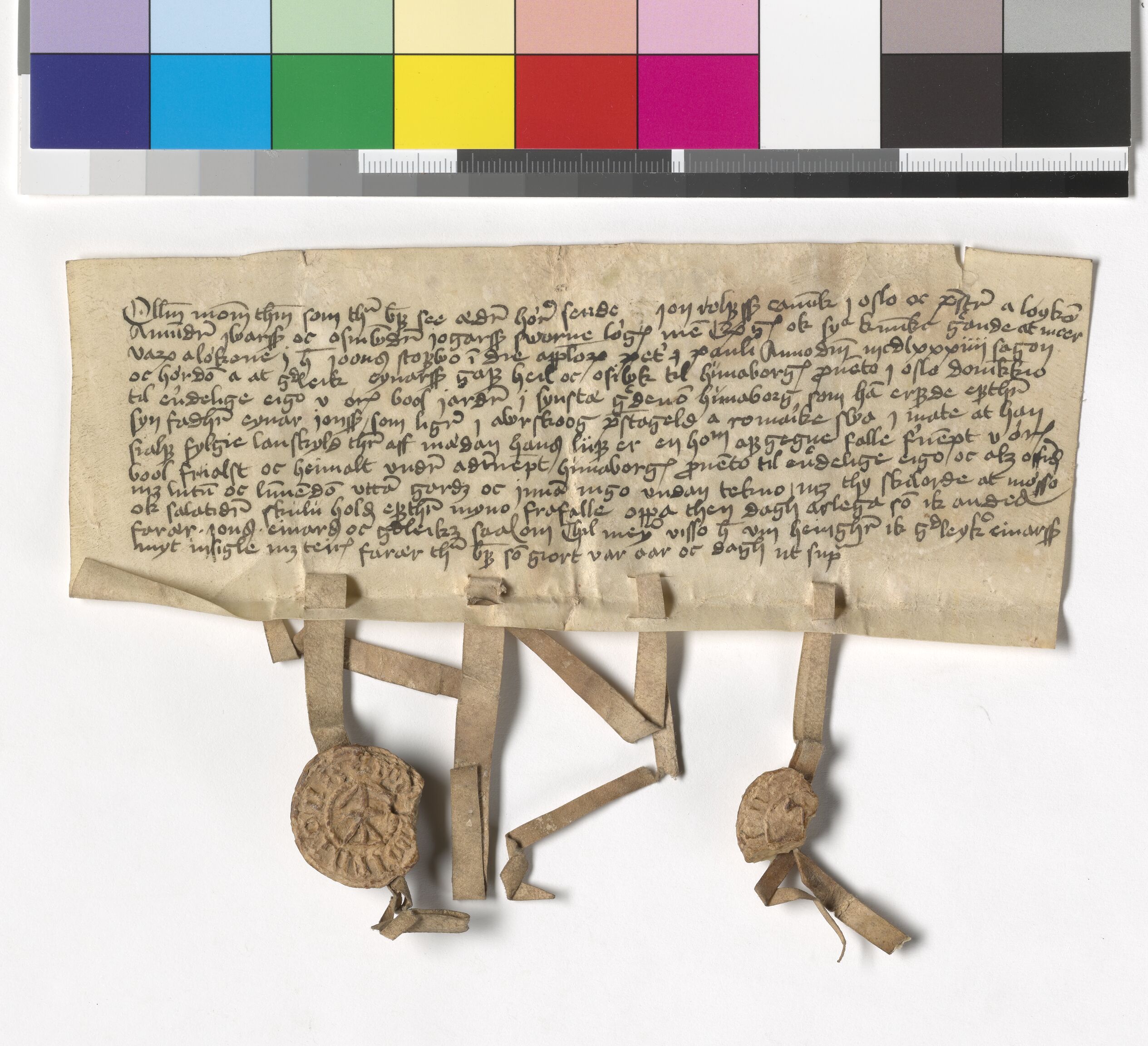 Riksarkivets diplomsamling, AV/RA-EA-5965/F05/L0231: NRA AM fasc. 95 nr. 10-16, 1484-1487, s. 2
