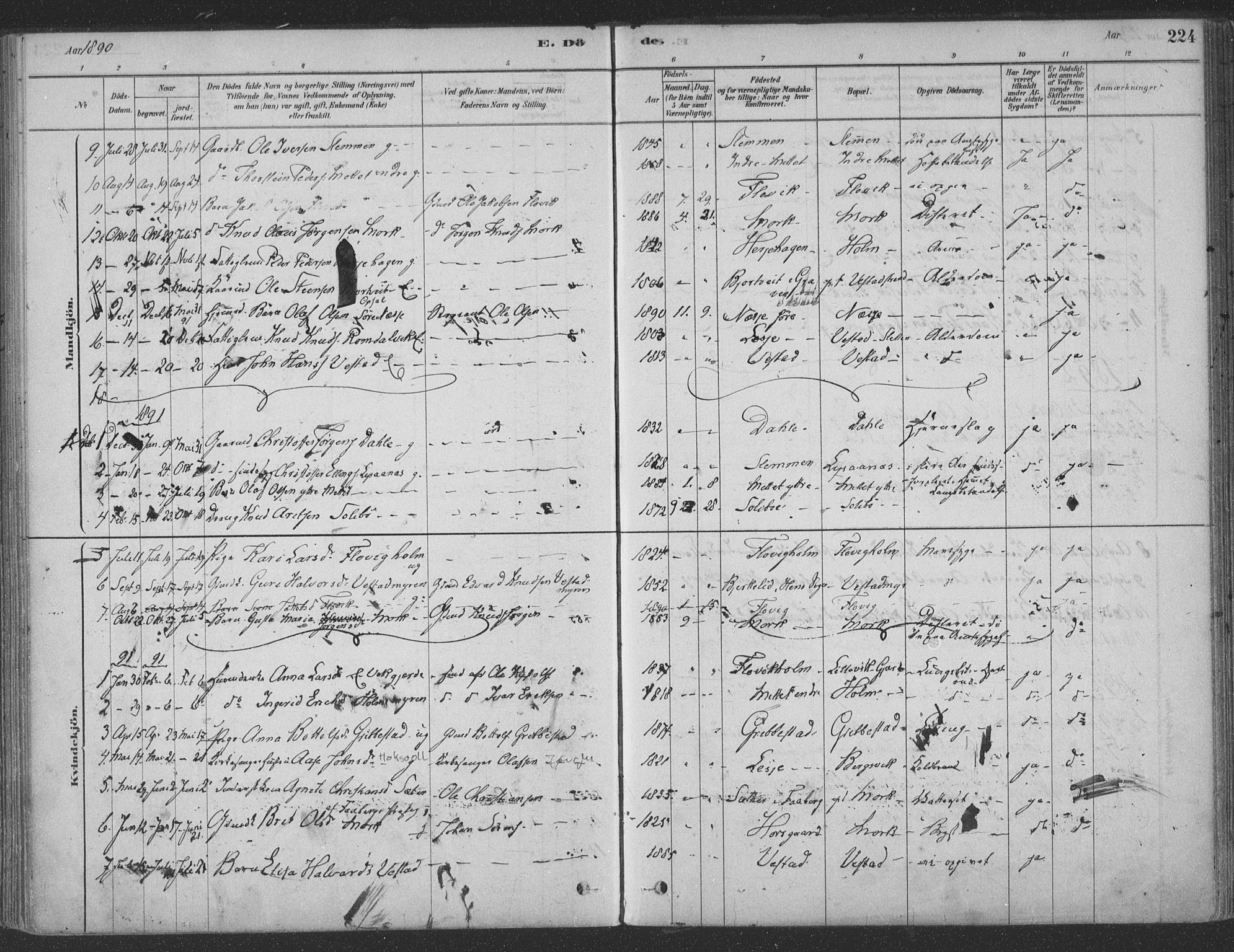 Ministerialprotokoller, klokkerbøker og fødselsregistre - Møre og Romsdal, SAT/A-1454/547/L0604: Ministerialbok nr. 547A06, 1878-1906, s. 224