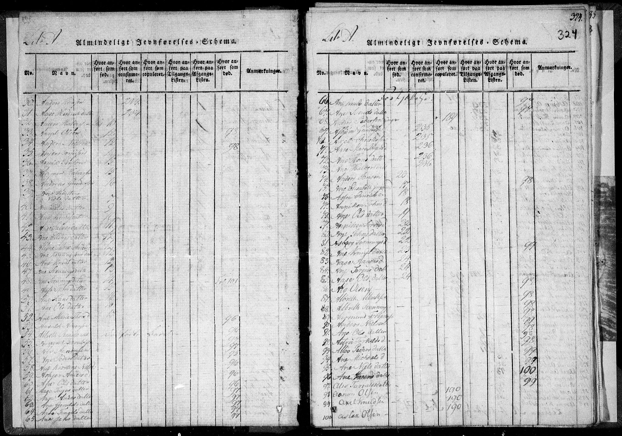Holt sokneprestkontor, AV/SAK-1111-0021/F/Fa/L0005: Ministerialbok nr. A 5, 1813-1821, s. 324