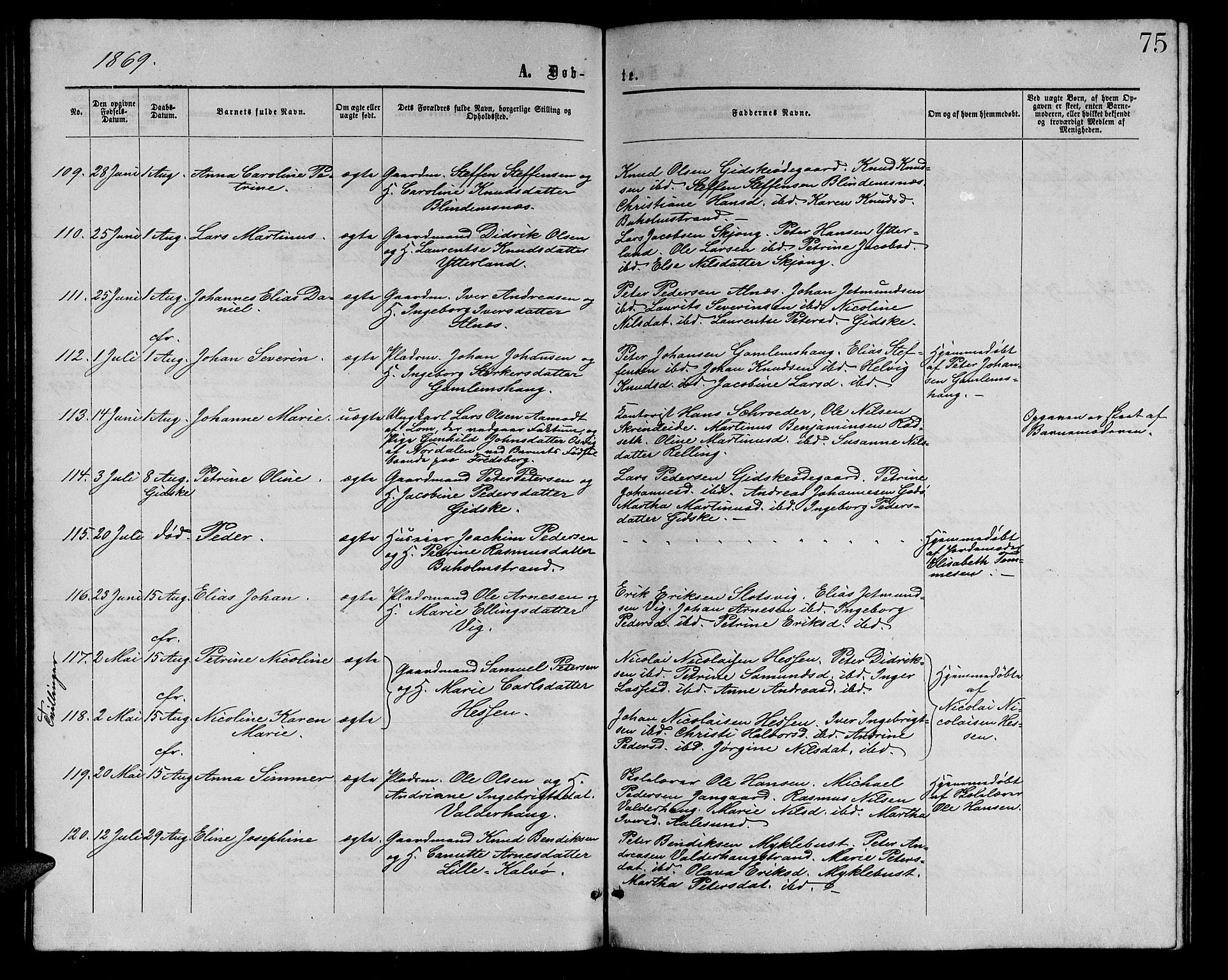 Ministerialprotokoller, klokkerbøker og fødselsregistre - Møre og Romsdal, AV/SAT-A-1454/528/L0428: Klokkerbok nr. 528C09, 1864-1880, s. 75