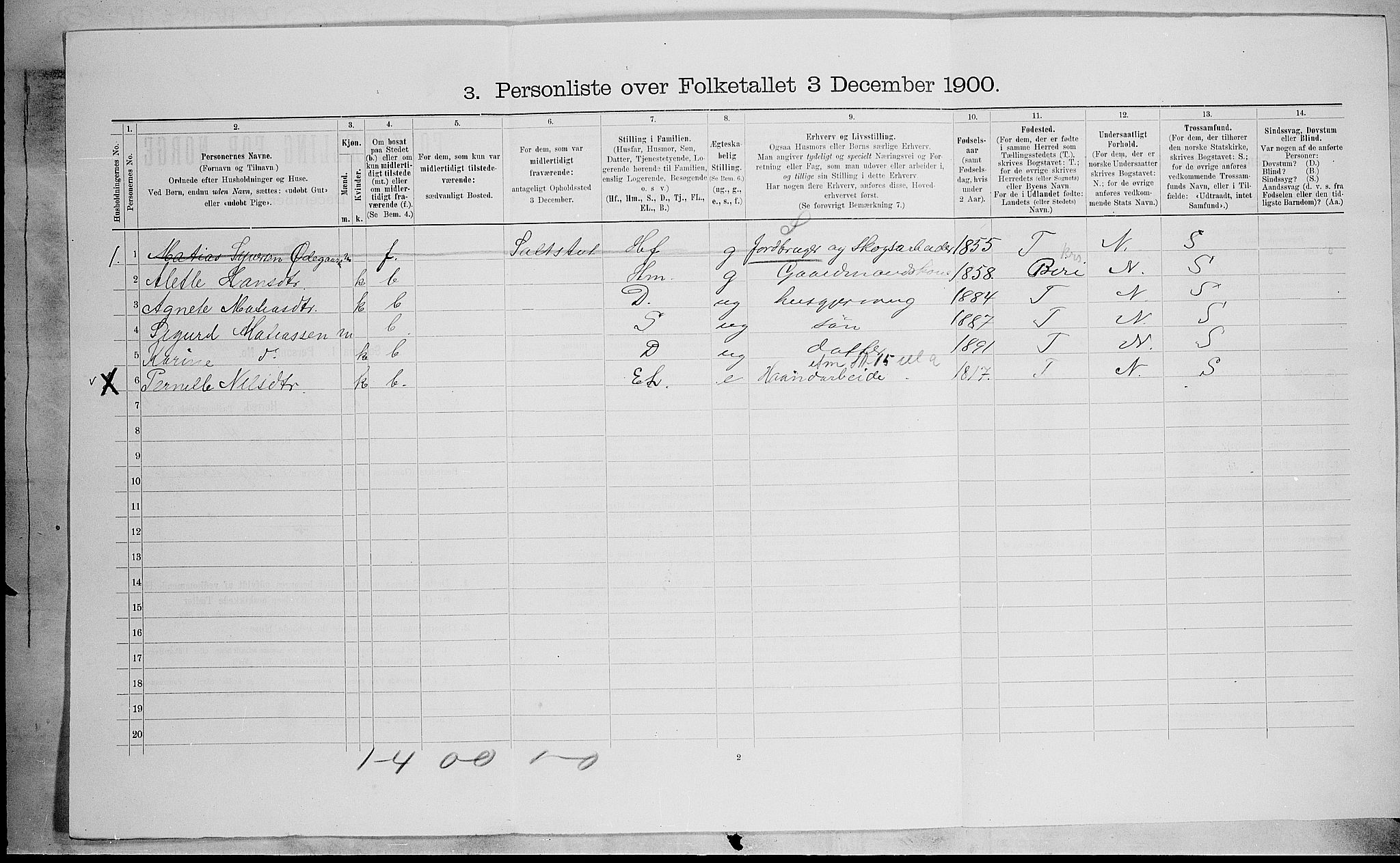 SAH, Folketelling 1900 for 0538 Nordre Land herred, 1900, s. 597