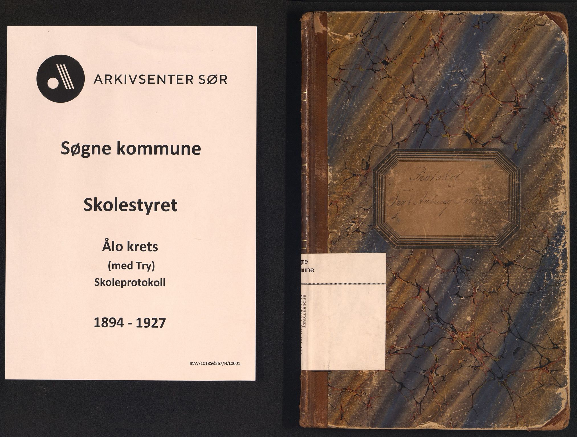 Søgne kommune - Ålo, IKAV/1018SØ567/H/L0001: Skoleprotokoll (d), 1894-1927