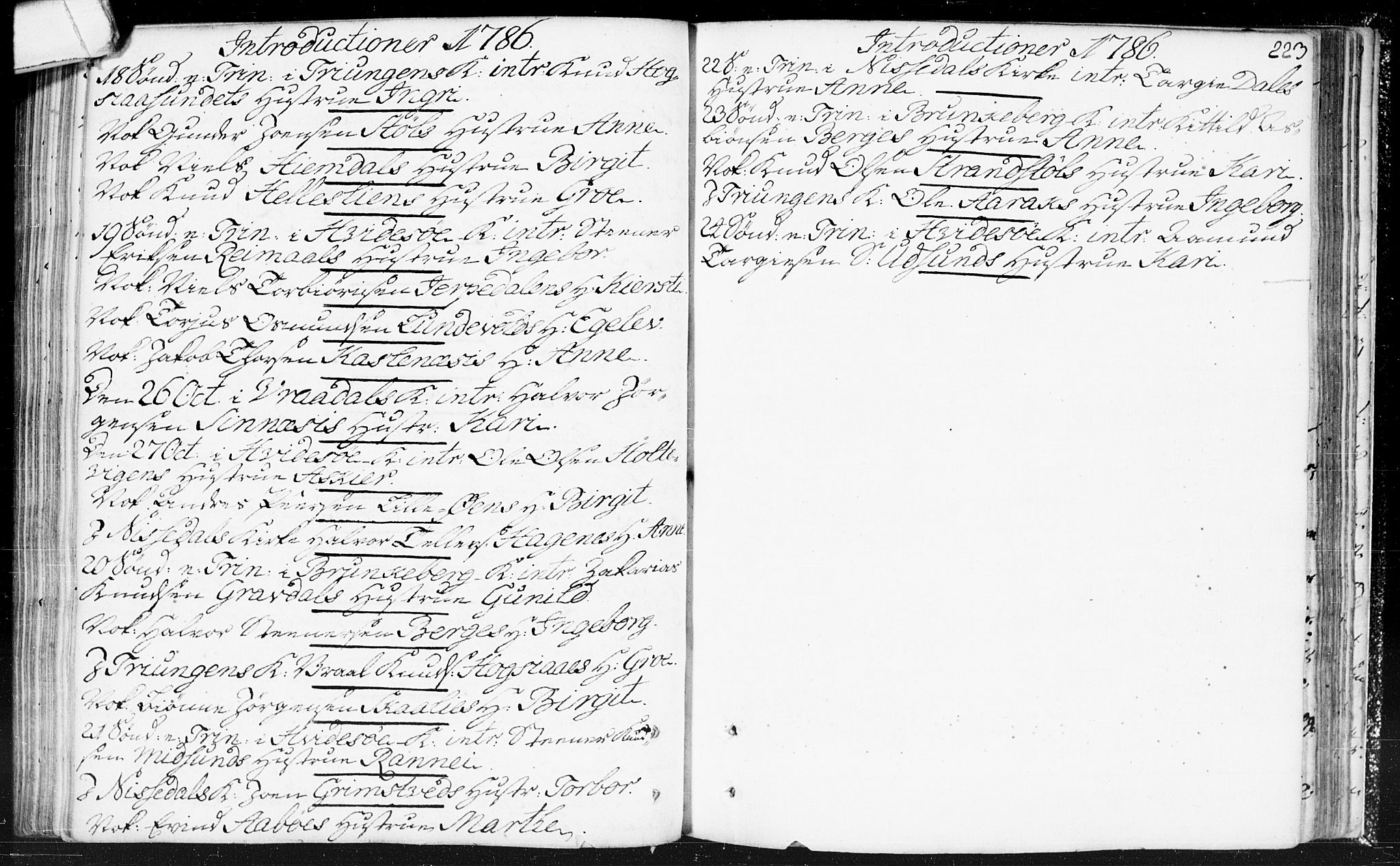 Kviteseid kirkebøker, SAKO/A-276/F/Fa/L0002: Ministerialbok nr. I 2, 1773-1786, s. 223