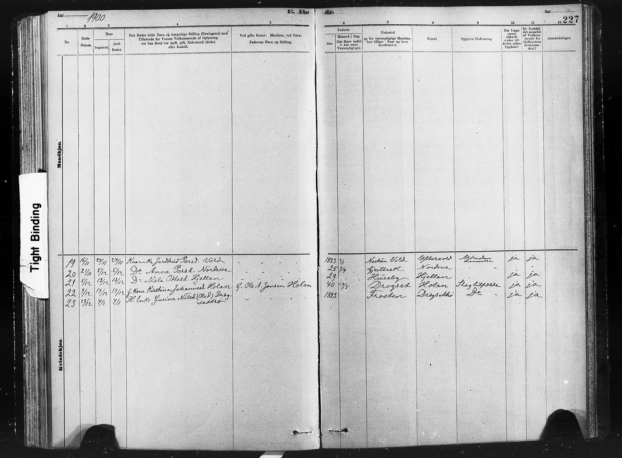 Ministerialprotokoller, klokkerbøker og fødselsregistre - Nord-Trøndelag, SAT/A-1458/712/L0103: Klokkerbok nr. 712C01, 1878-1917, s. 227