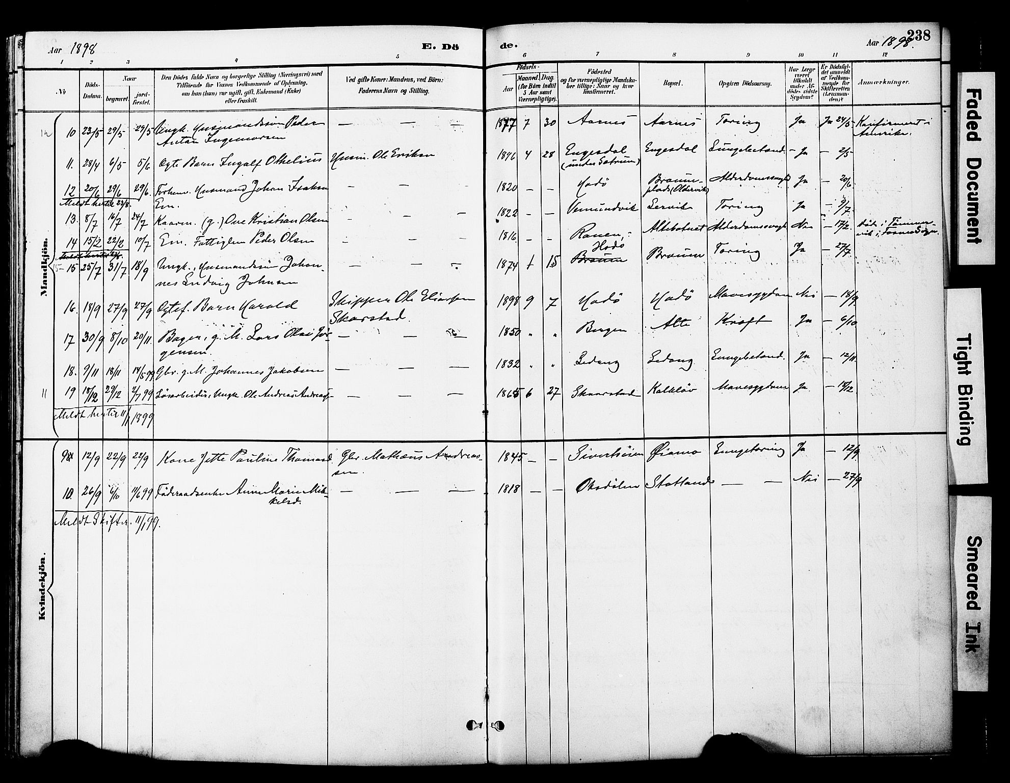 Ministerialprotokoller, klokkerbøker og fødselsregistre - Nord-Trøndelag, AV/SAT-A-1458/774/L0628: Ministerialbok nr. 774A02, 1887-1903, s. 238
