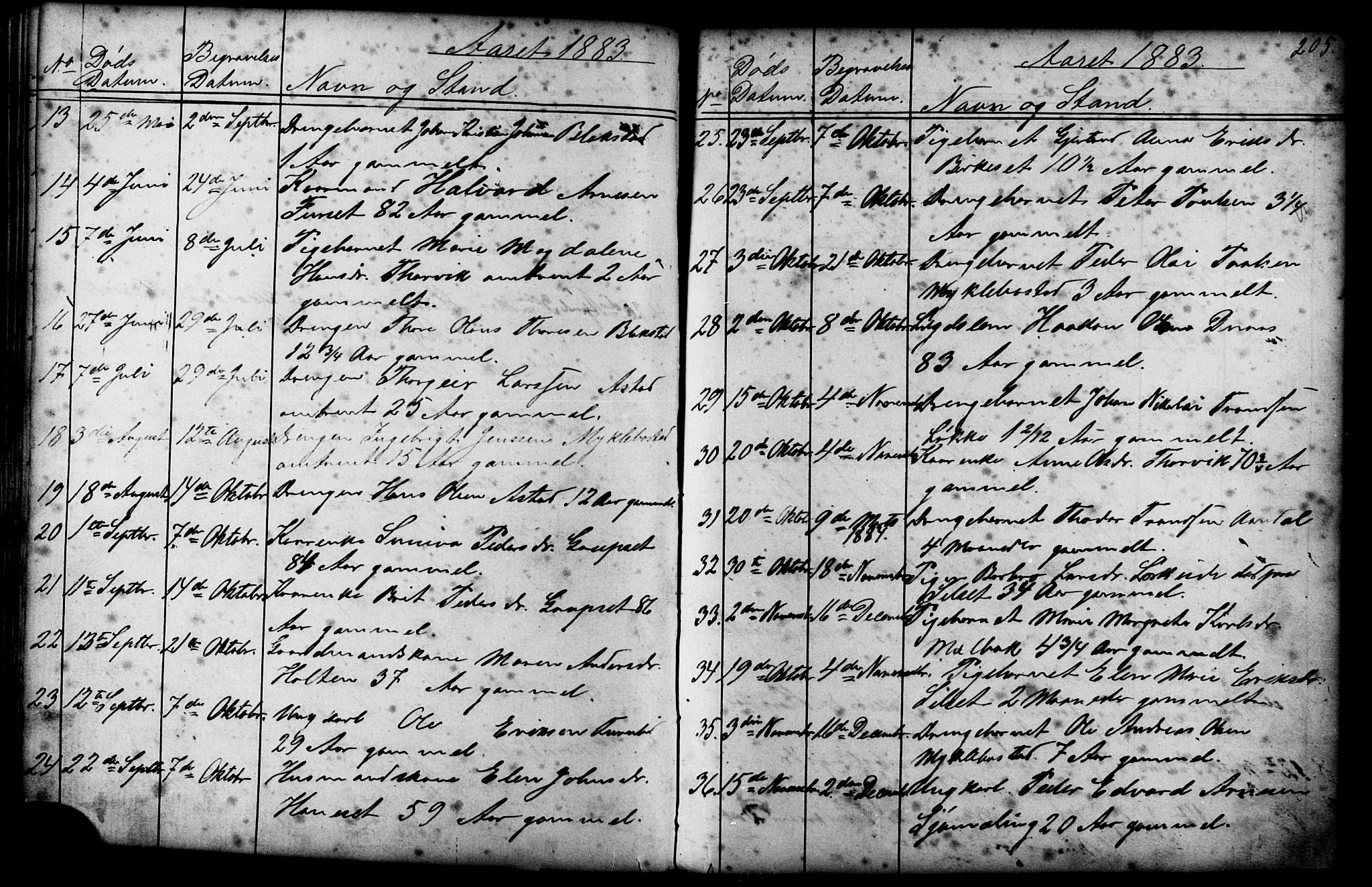 Ministerialprotokoller, klokkerbøker og fødselsregistre - Møre og Romsdal, AV/SAT-A-1454/584/L0969: Klokkerbok nr. 584C02, 1877-1911, s. 205