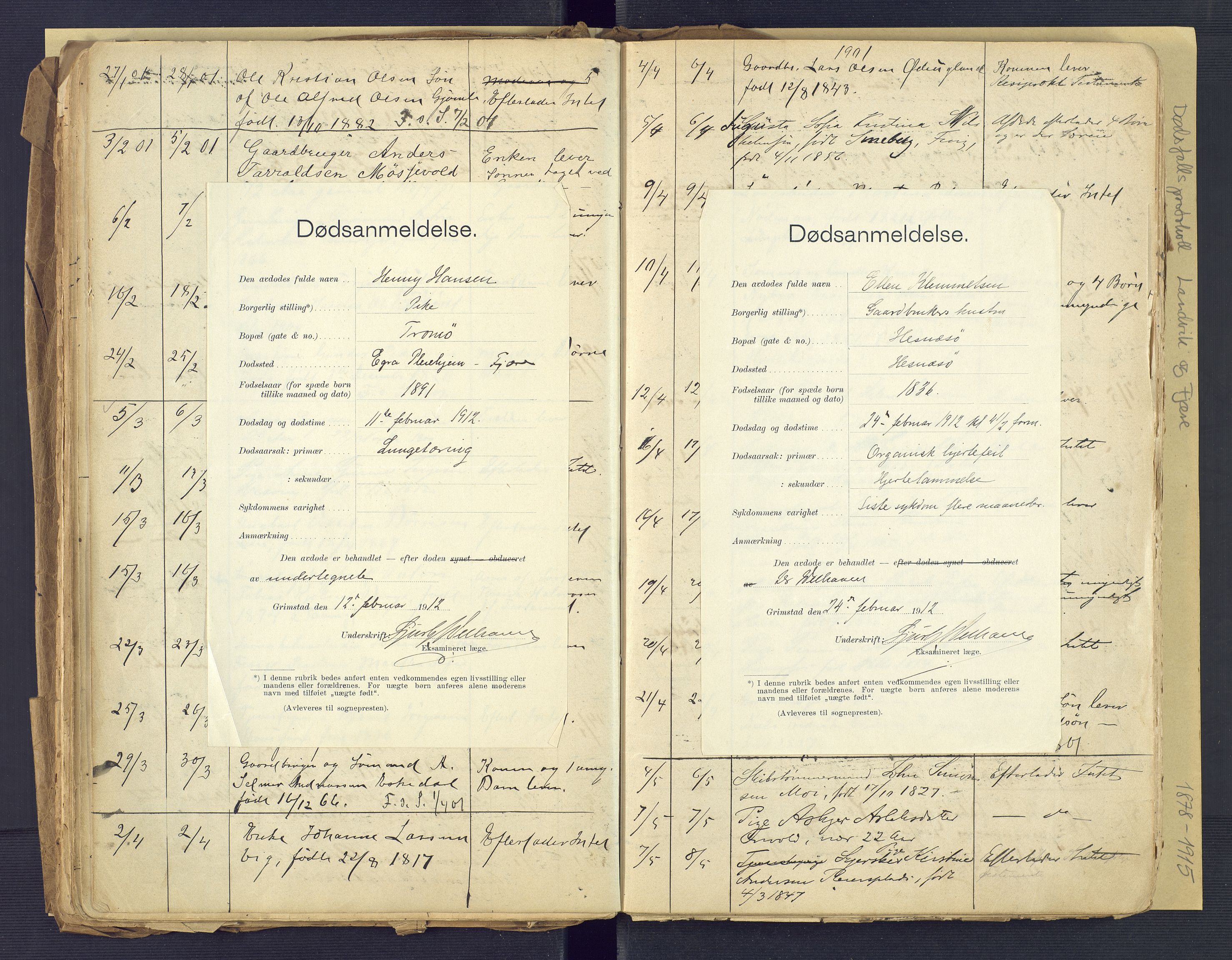 Landvik og Fjære lensmannskontor, SAK/1241-0027/F/Fe/L0001: Dødsfallsprotokoll Landvik og Fjære nr 137, 1878-1915