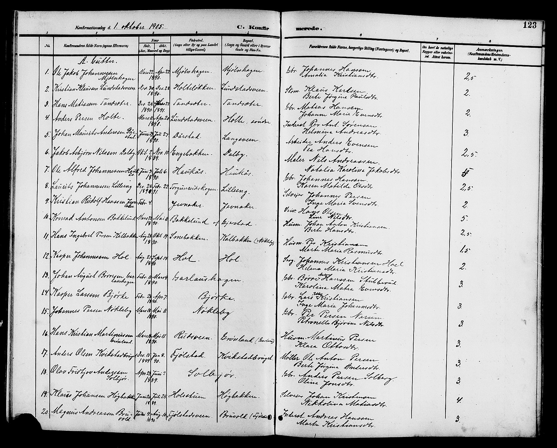 Vestre Toten prestekontor, AV/SAH-PREST-108/H/Ha/Hab/L0011: Klokkerbok nr. 11, 1901-1911, s. 123