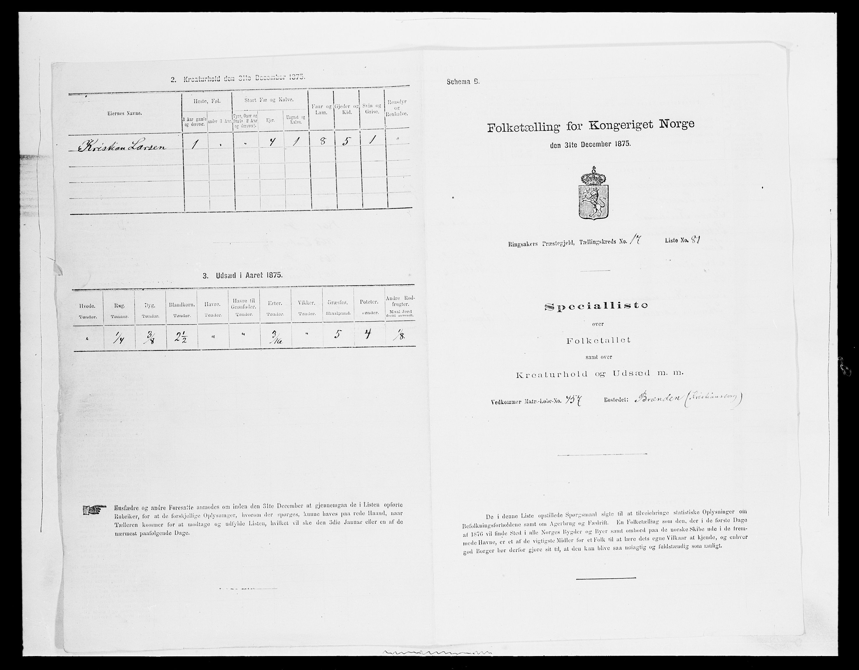 SAH, Folketelling 1875 for 0412P Ringsaker prestegjeld, 1875, s. 3555