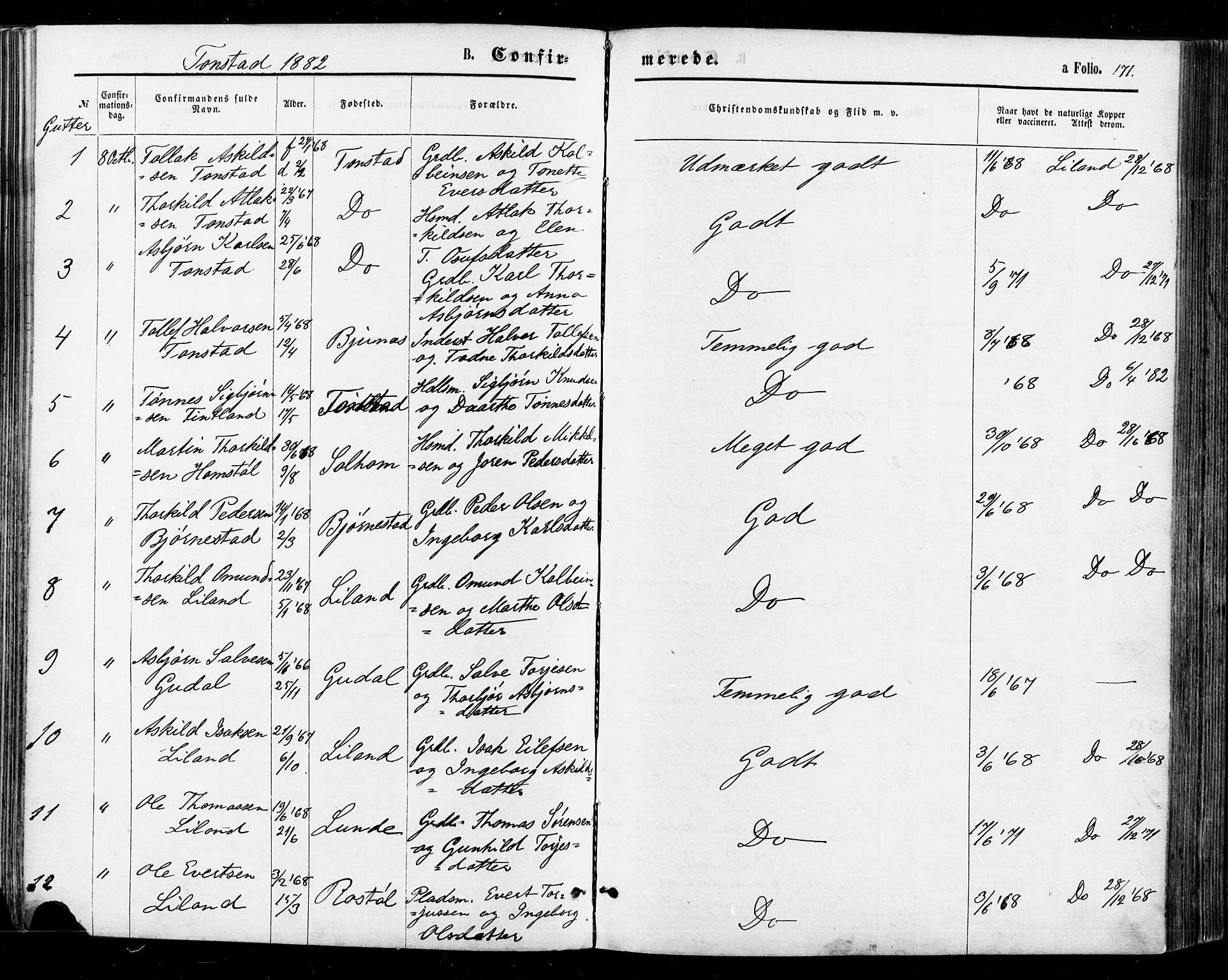 Sirdal sokneprestkontor, SAK/1111-0036/F/Fa/Fab/L0003: Ministerialbok nr. A 3, 1874-1886, s. 171