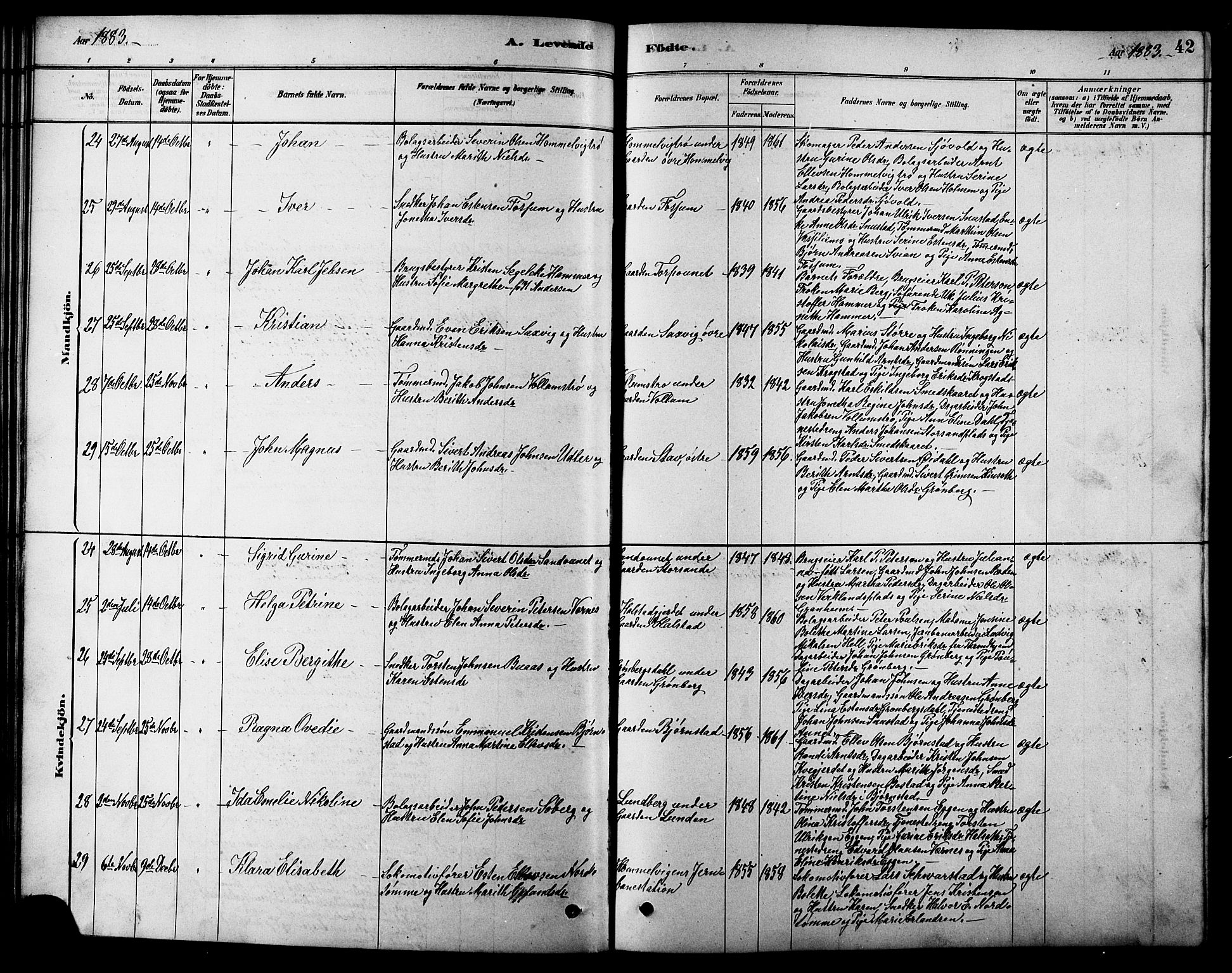Ministerialprotokoller, klokkerbøker og fødselsregistre - Sør-Trøndelag, AV/SAT-A-1456/616/L0423: Klokkerbok nr. 616C06, 1878-1903, s. 42