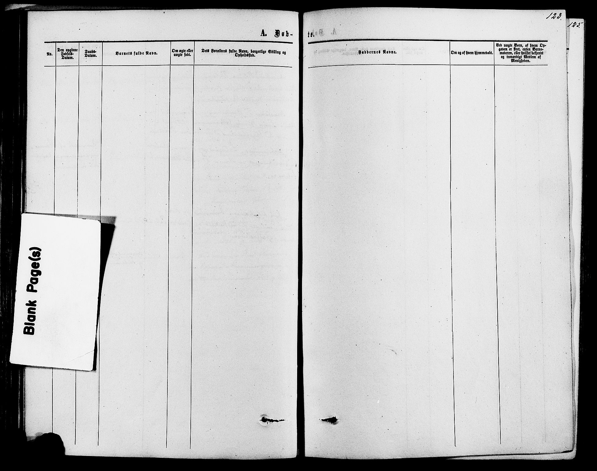 Romedal prestekontor, AV/SAH-PREST-004/K/L0006: Ministerialbok nr. 6, 1866-1886, s. 123