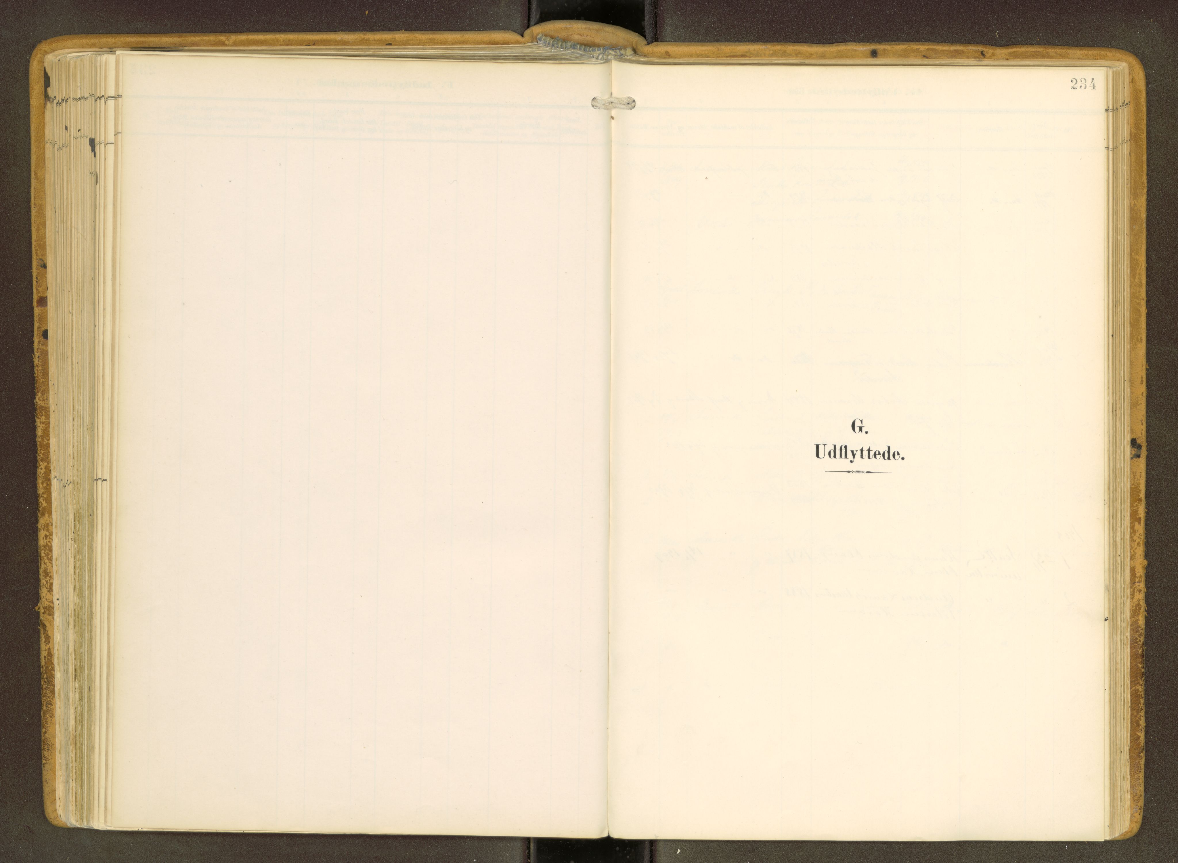 Ministerialprotokoller, klokkerbøker og fødselsregistre - Møre og Romsdal, AV/SAT-A-1454/536/L0517: Ministerialbok nr. 536A--, 1897-1917, s. 234