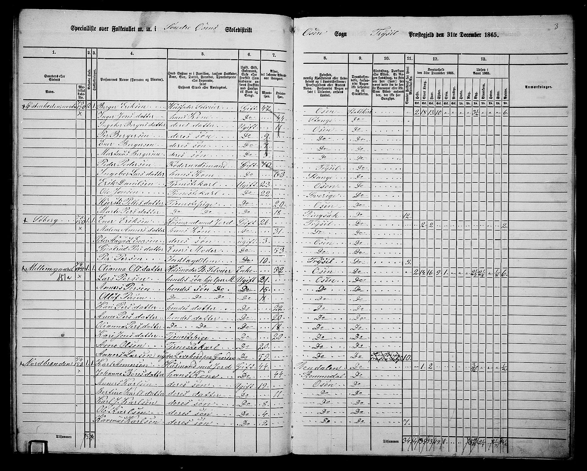 RA, Folketelling 1865 for 0428P Trysil prestegjeld, 1865, s. 167