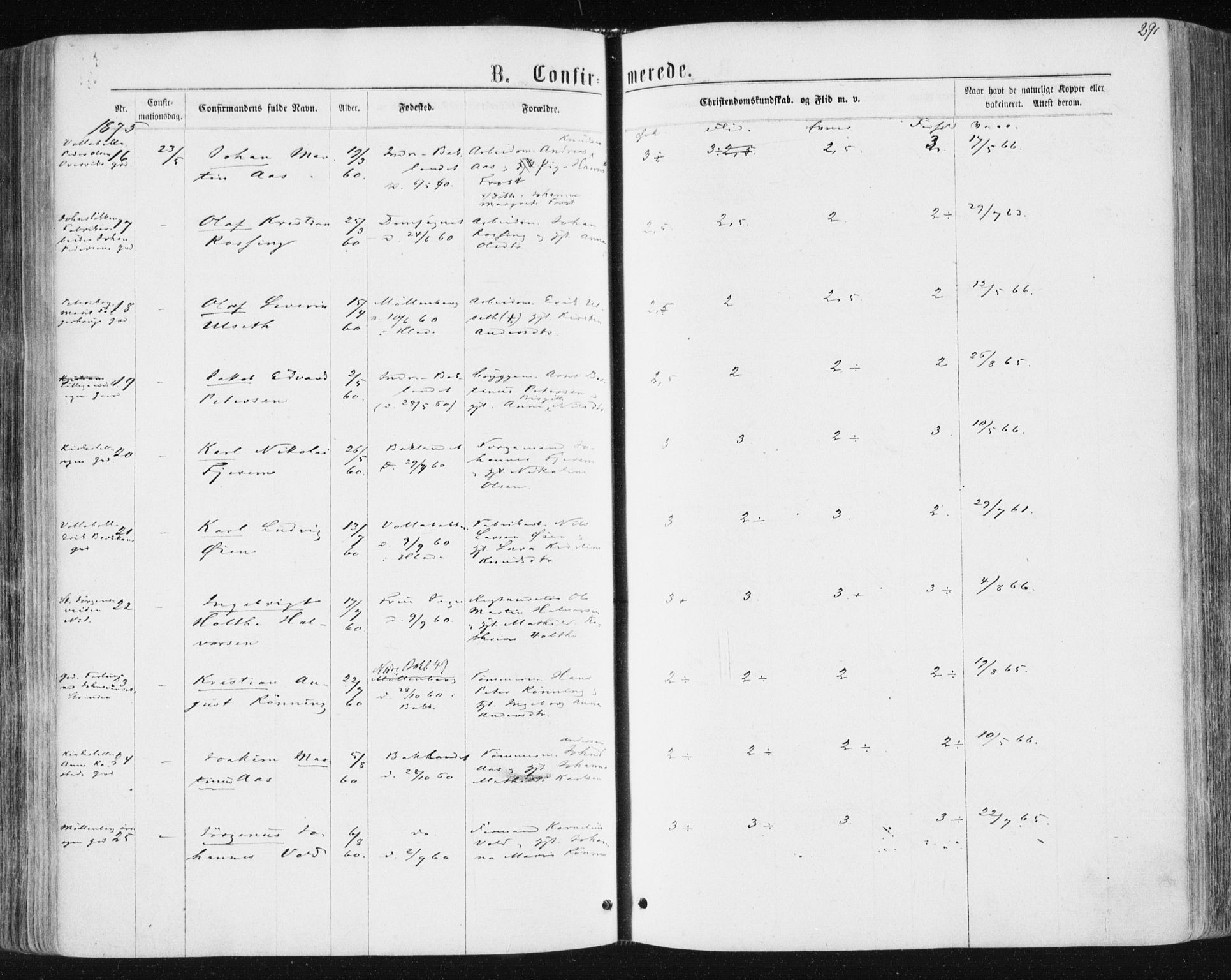 Ministerialprotokoller, klokkerbøker og fødselsregistre - Sør-Trøndelag, SAT/A-1456/604/L0186: Ministerialbok nr. 604A07, 1866-1877, s. 291