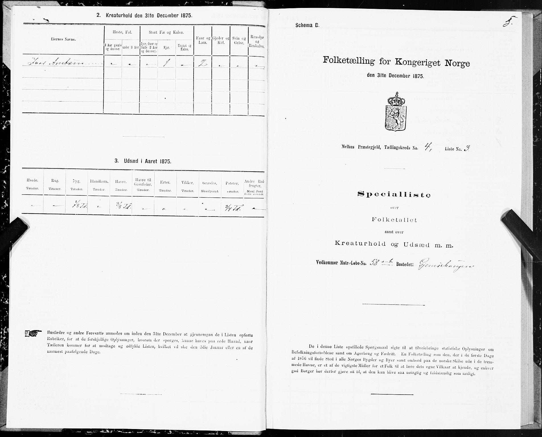 SAT, Folketelling 1875 for 1653P Melhus prestegjeld, 1875, s. 3005