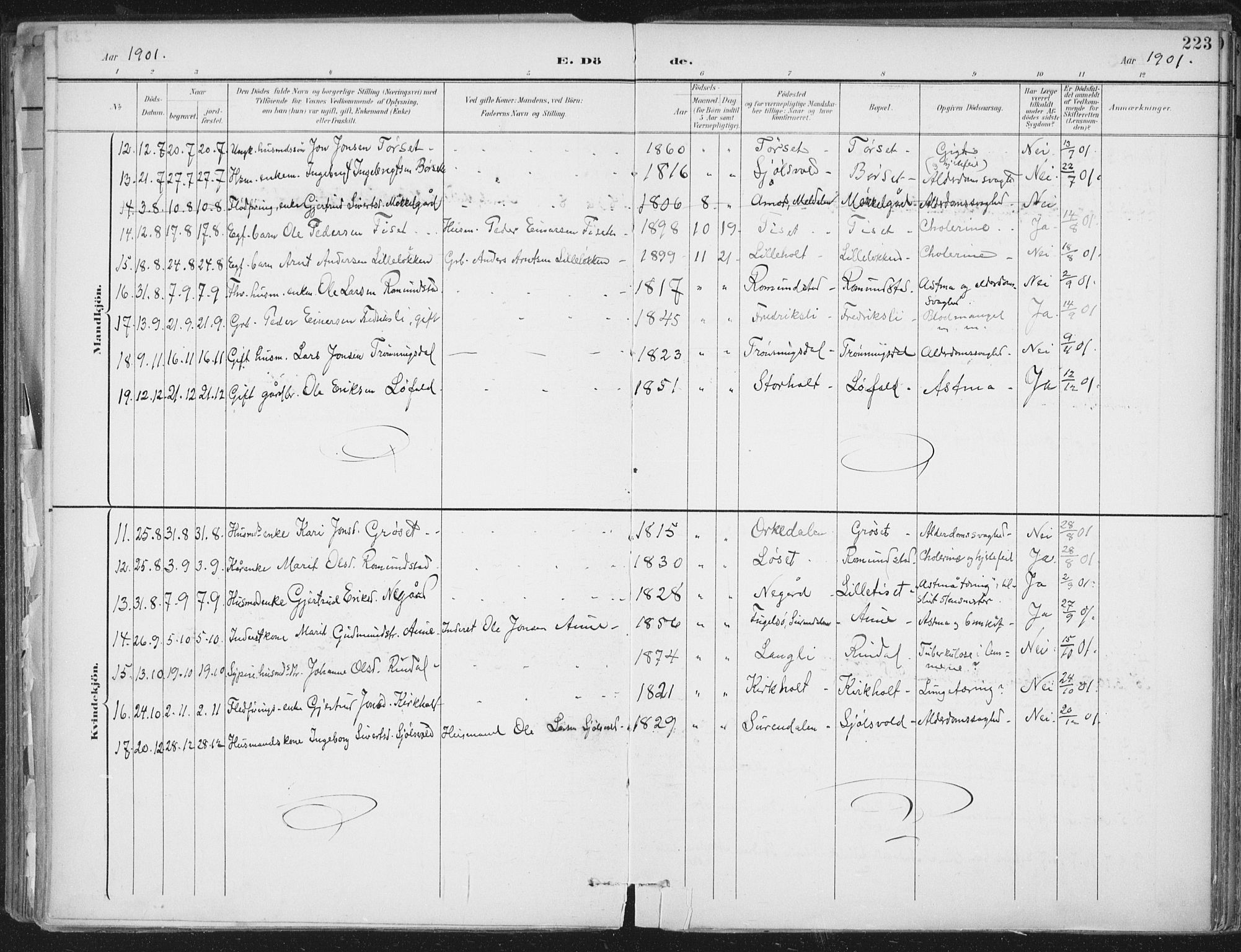 Ministerialprotokoller, klokkerbøker og fødselsregistre - Møre og Romsdal, SAT/A-1454/598/L1072: Ministerialbok nr. 598A06, 1896-1910, s. 223