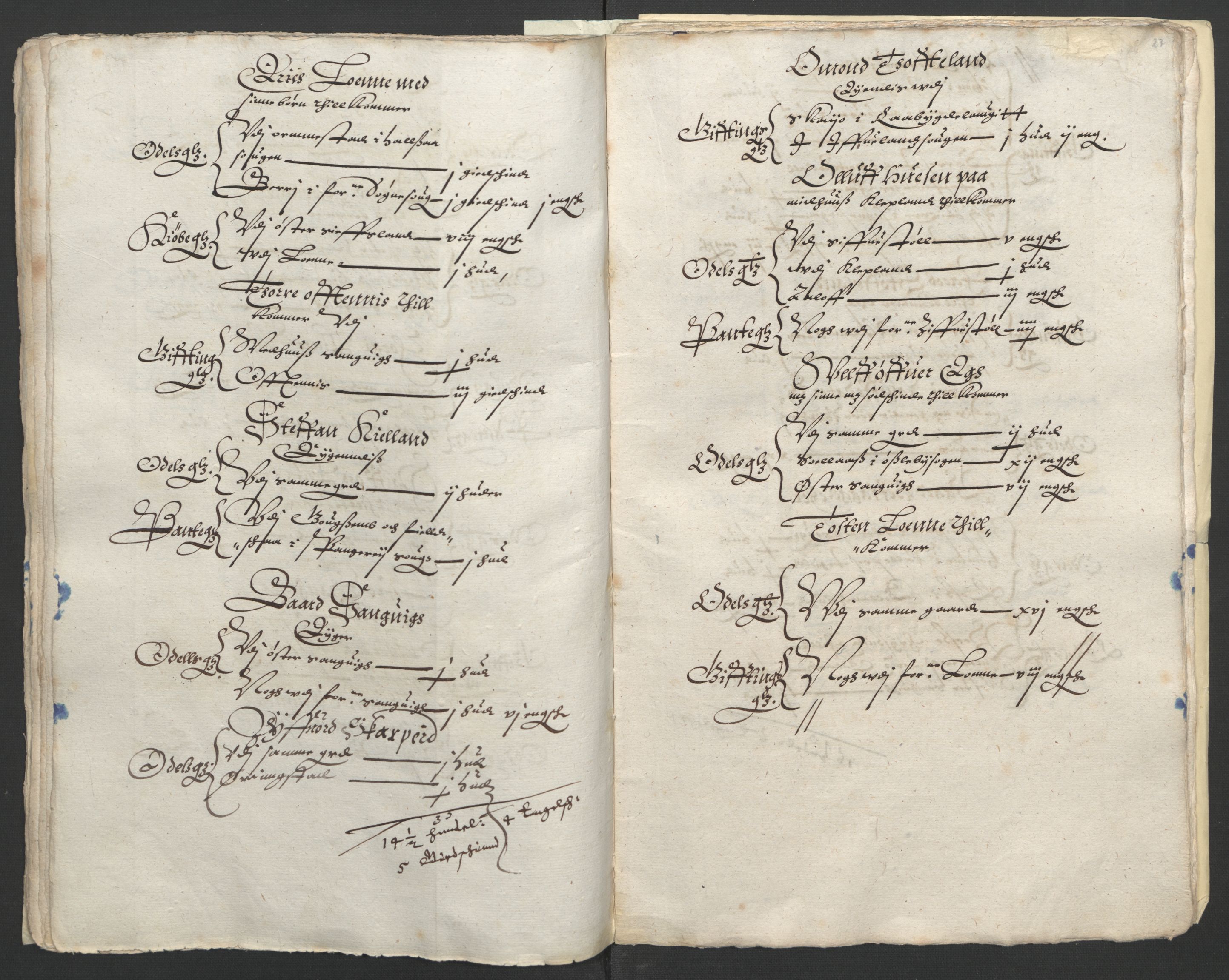 Stattholderembetet 1572-1771, AV/RA-EA-2870/Ek/L0010/0001: Jordebøker til utlikning av rosstjeneste 1624-1626: / Odelsjordebøker for Agdesiden len, 1624, s. 123