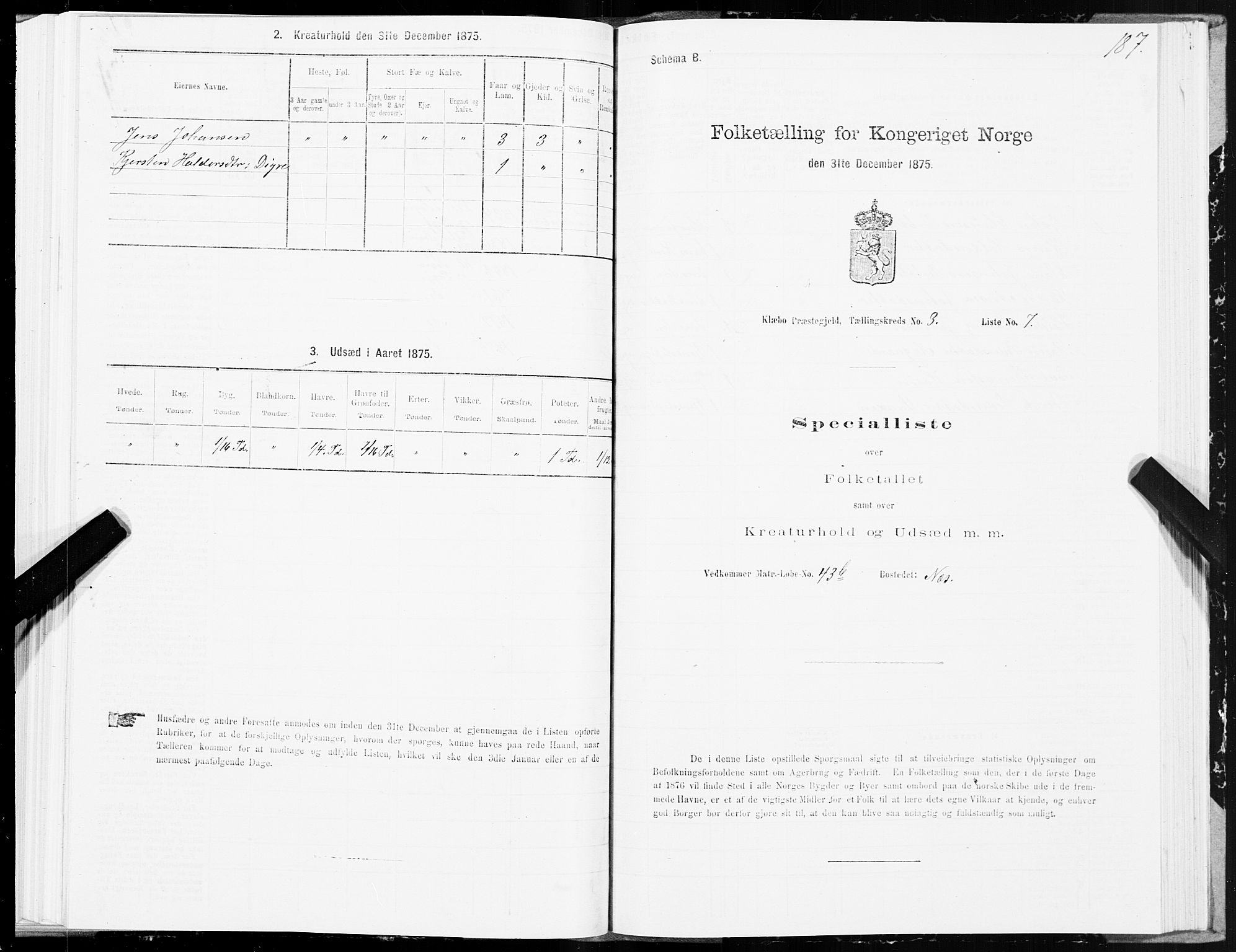 SAT, Folketelling 1875 for 1662P Klæbu prestegjeld, 1875, s. 1187