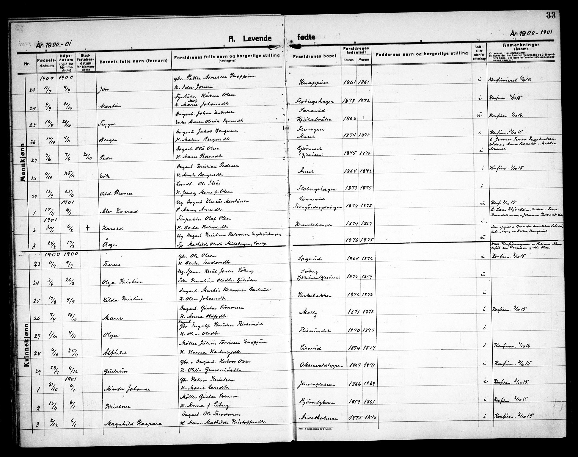Åsnes prestekontor, AV/SAH-PREST-042/H/Ha/Haa/L0000C: Ministerialbok nr. 0A, 1890-1929, s. 33
