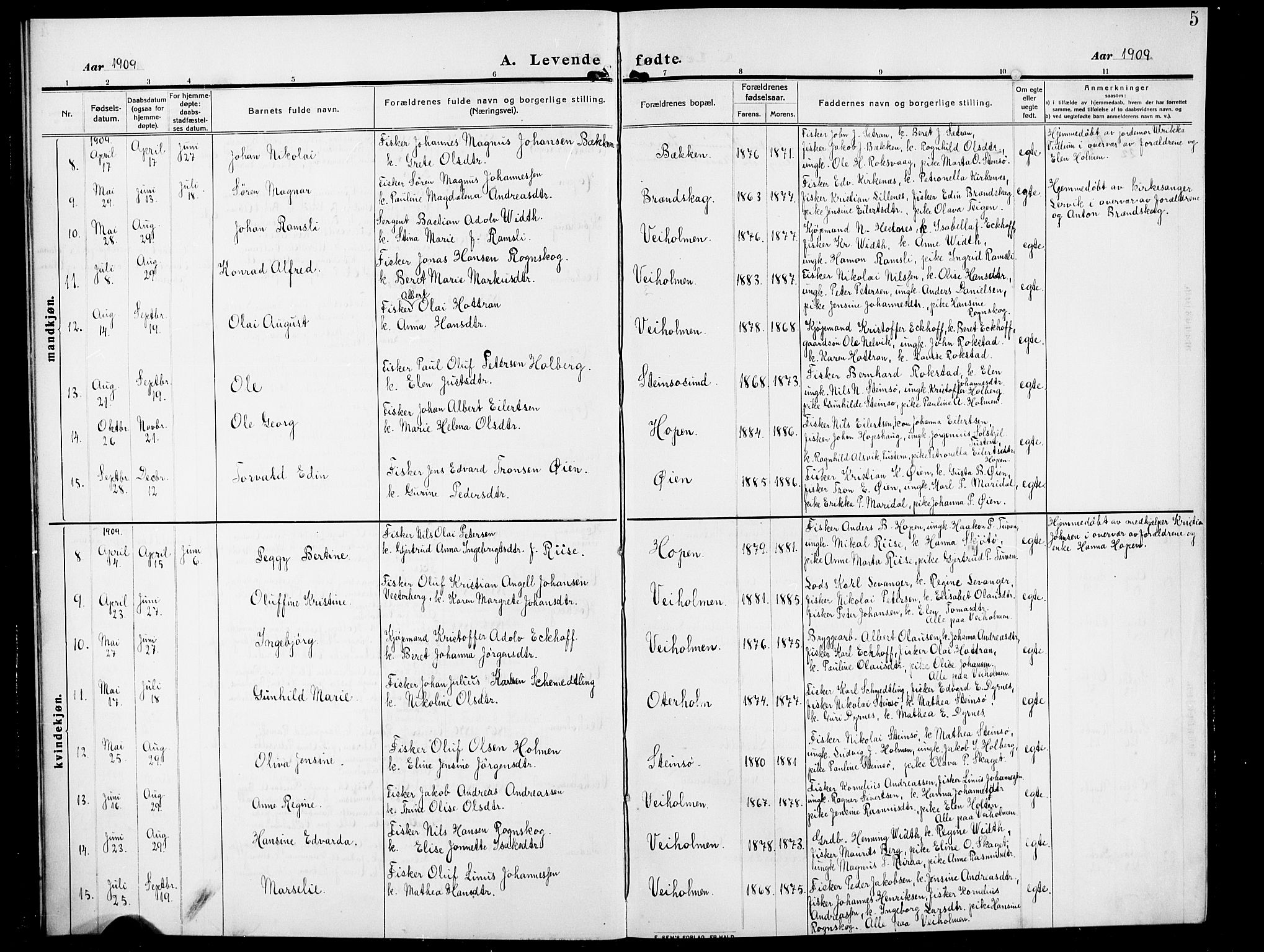 Ministerialprotokoller, klokkerbøker og fødselsregistre - Møre og Romsdal, AV/SAT-A-1454/583/L0956: Klokkerbok nr. 583C01, 1909-1925, s. 5