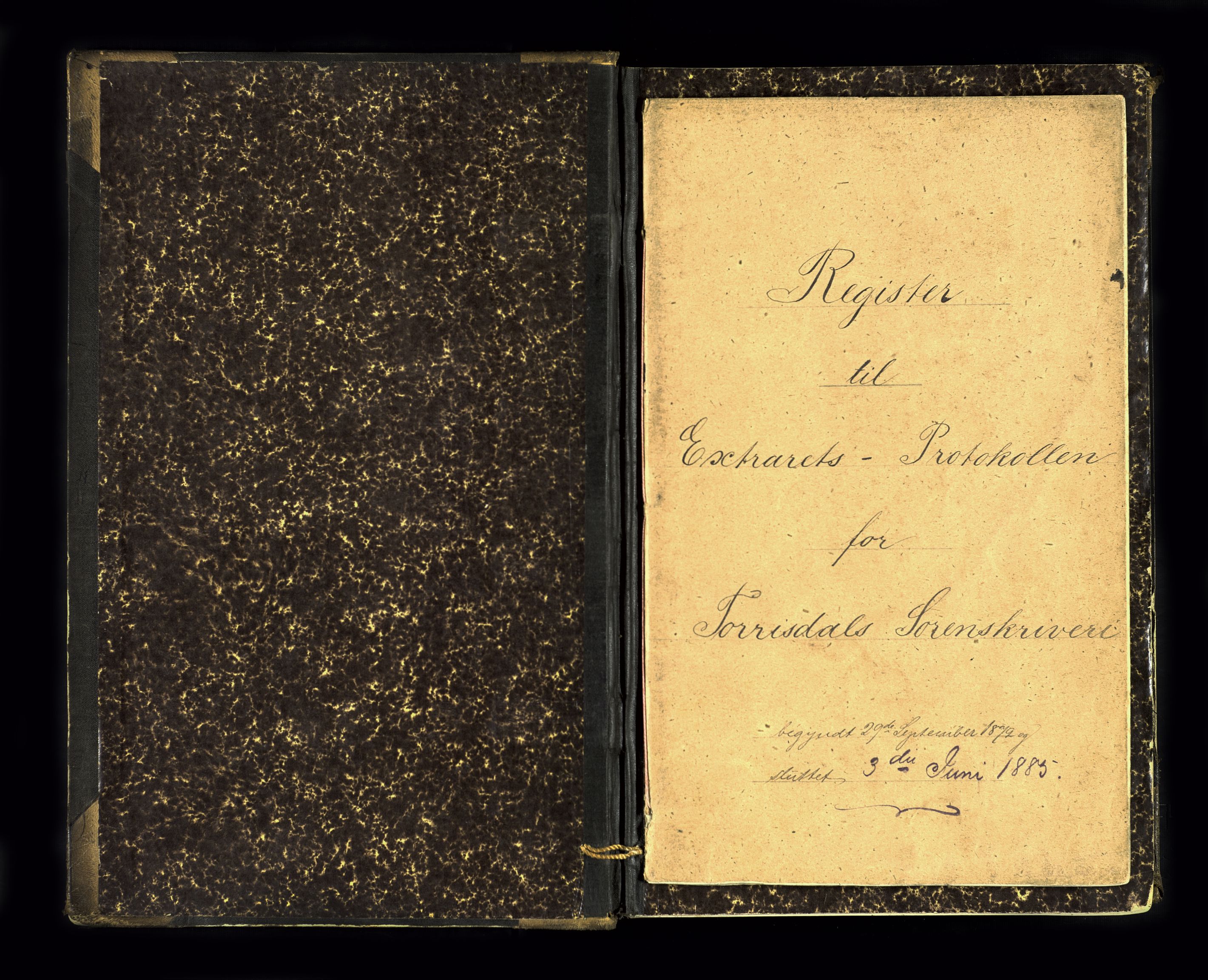 Torridal sorenskriveri, SAK/1221-0012/F/Fb/L0004: Ekstrarettsprotokoll nr. 4, 1879-1885