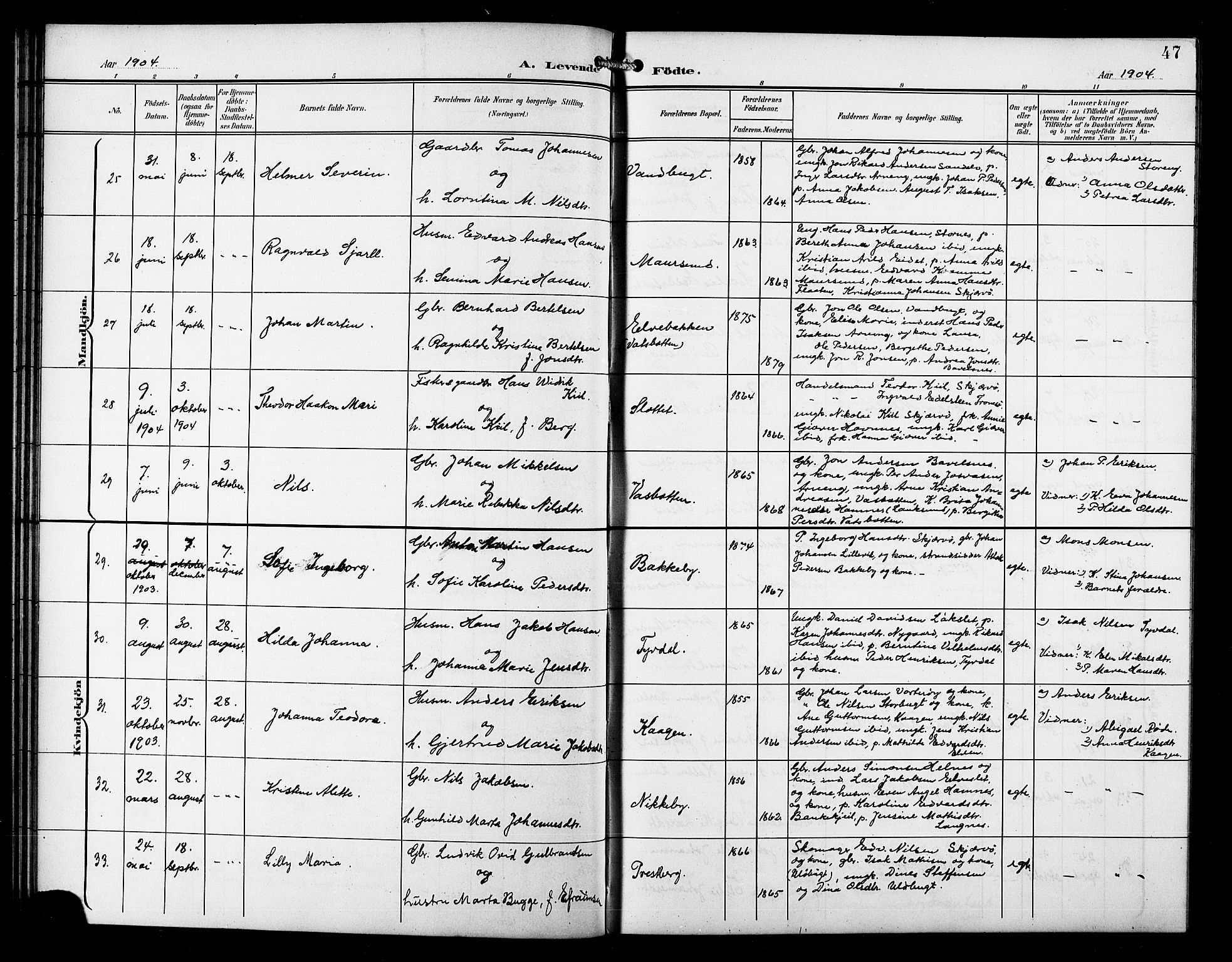 Skjervøy sokneprestkontor, AV/SATØ-S-1300/H/Ha/Hab/L0008klokker: Klokkerbok nr. 8, 1900-1910, s. 47