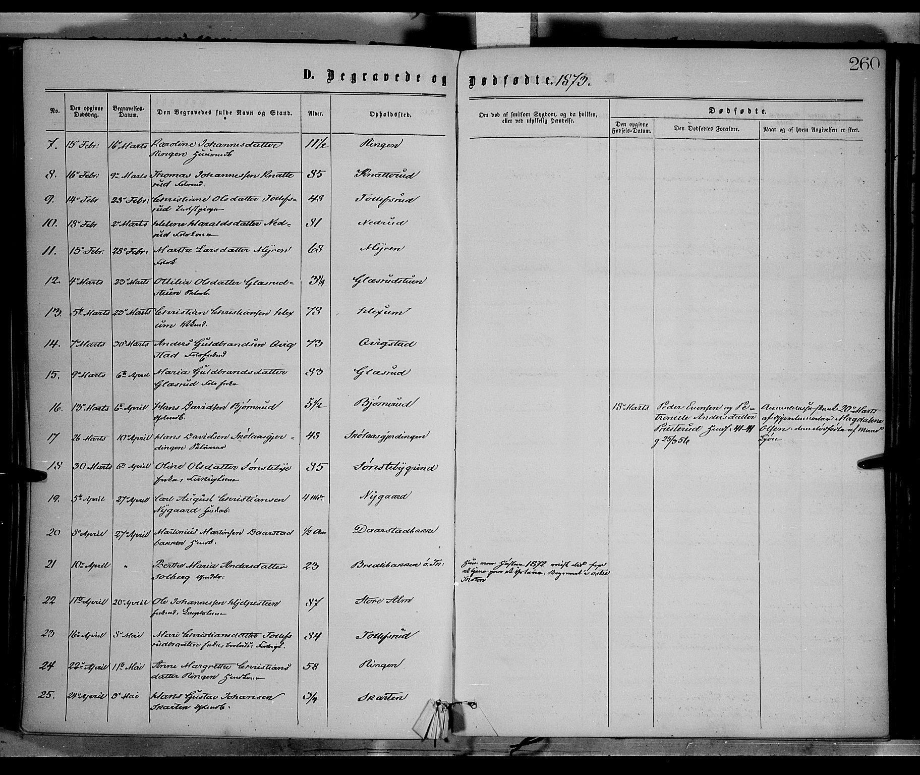 Vestre Toten prestekontor, SAH/PREST-108/H/Ha/Haa/L0008: Ministerialbok nr. 8, 1870-1877, s. 260