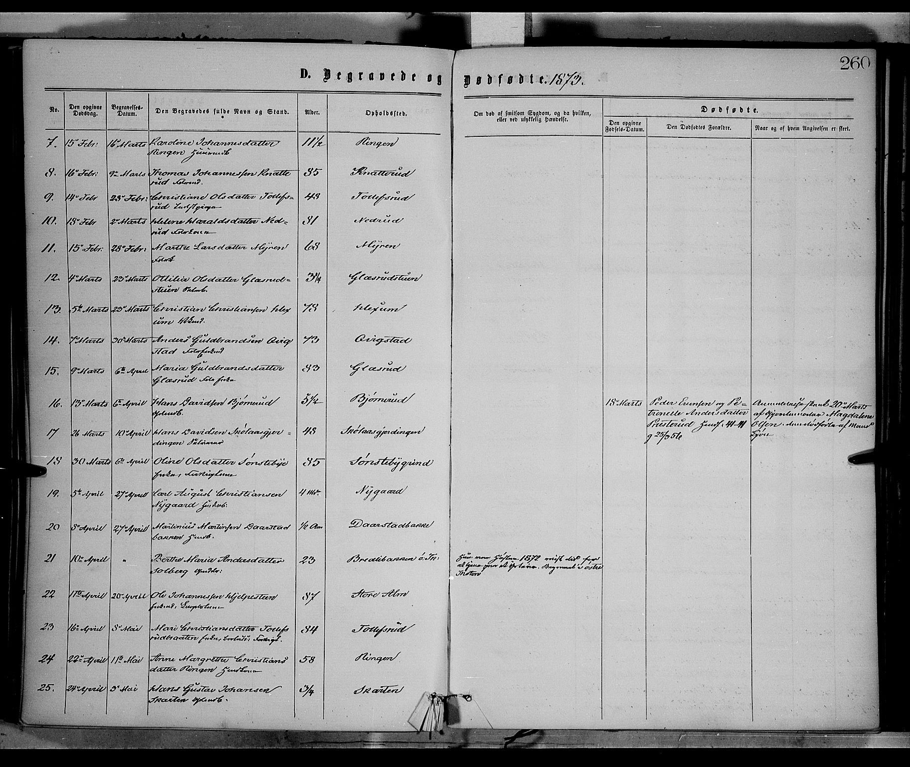Vestre Toten prestekontor, AV/SAH-PREST-108/H/Ha/Haa/L0008: Ministerialbok nr. 8, 1870-1877, s. 260