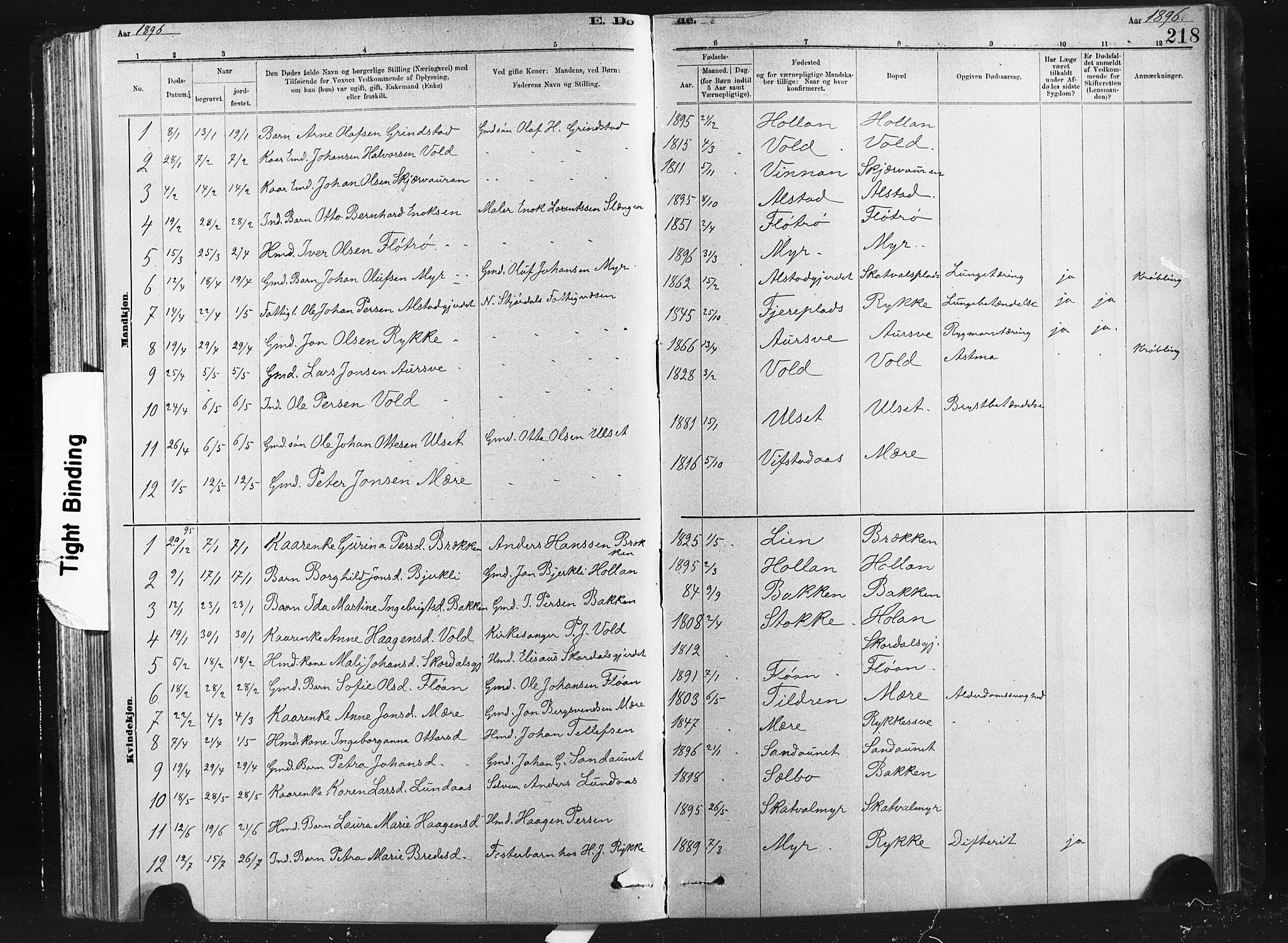 Ministerialprotokoller, klokkerbøker og fødselsregistre - Nord-Trøndelag, SAT/A-1458/712/L0103: Klokkerbok nr. 712C01, 1878-1917, s. 218