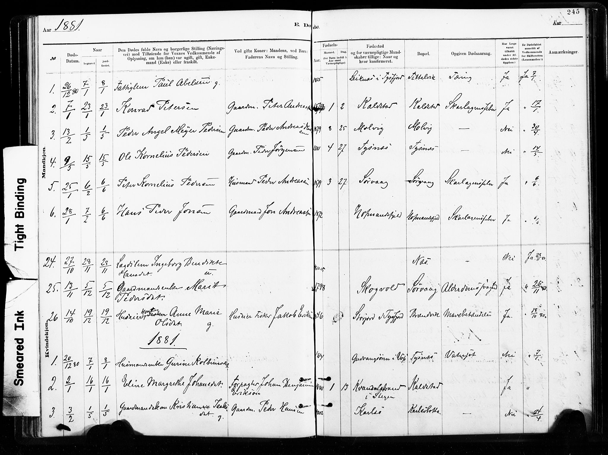 Ministerialprotokoller, klokkerbøker og fødselsregistre - Nordland, AV/SAT-A-1459/859/L0846: Ministerialbok nr. 859A06, 1878-1889, s. 245