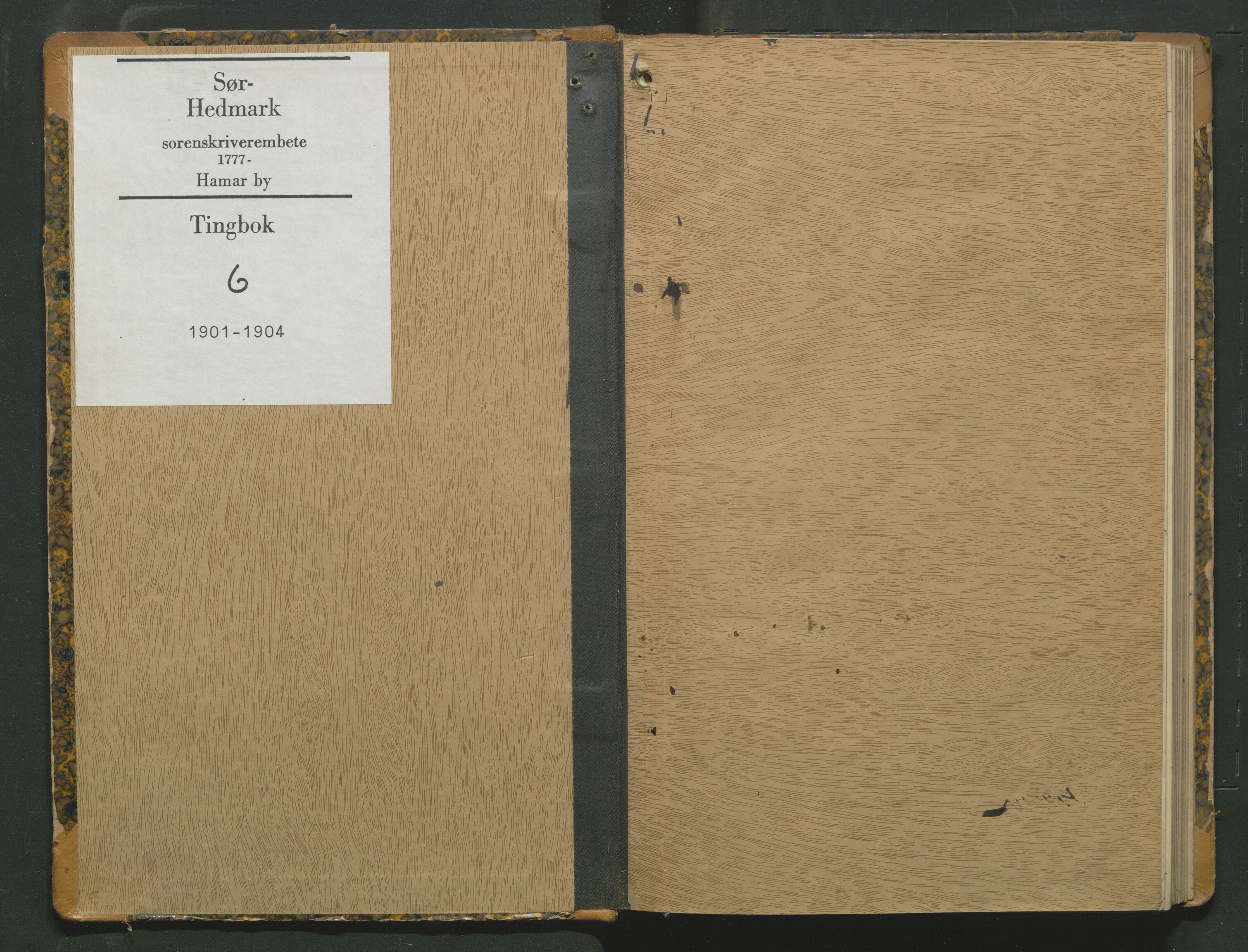 Sør-Hedmark sorenskriveri, AV/SAH-TING-014/G/Gb/Gbb/L0006: Tingbok - Hamar by, 1901-1904