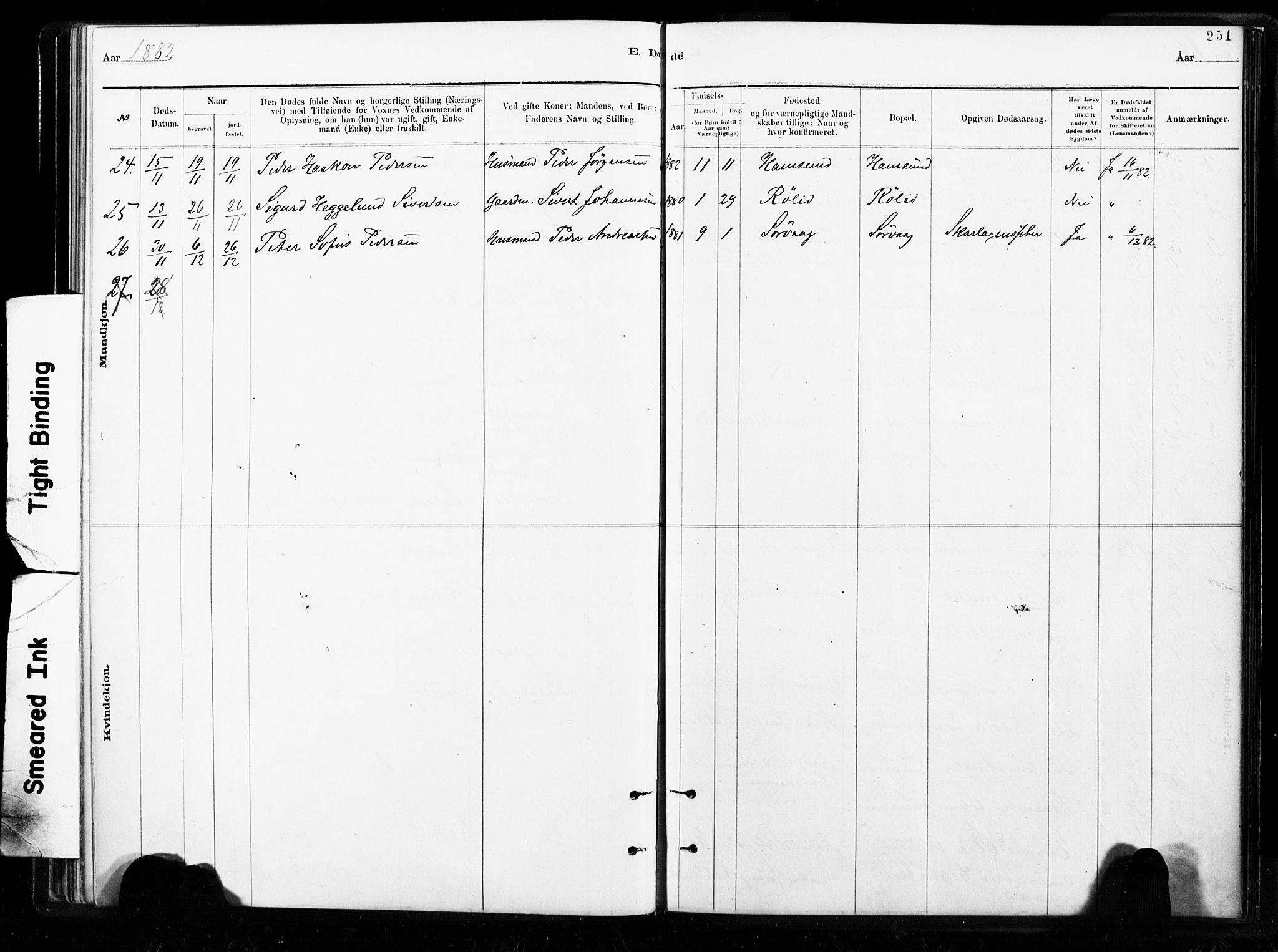 Ministerialprotokoller, klokkerbøker og fødselsregistre - Nordland, AV/SAT-A-1459/859/L0846: Ministerialbok nr. 859A06, 1878-1889, s. 251