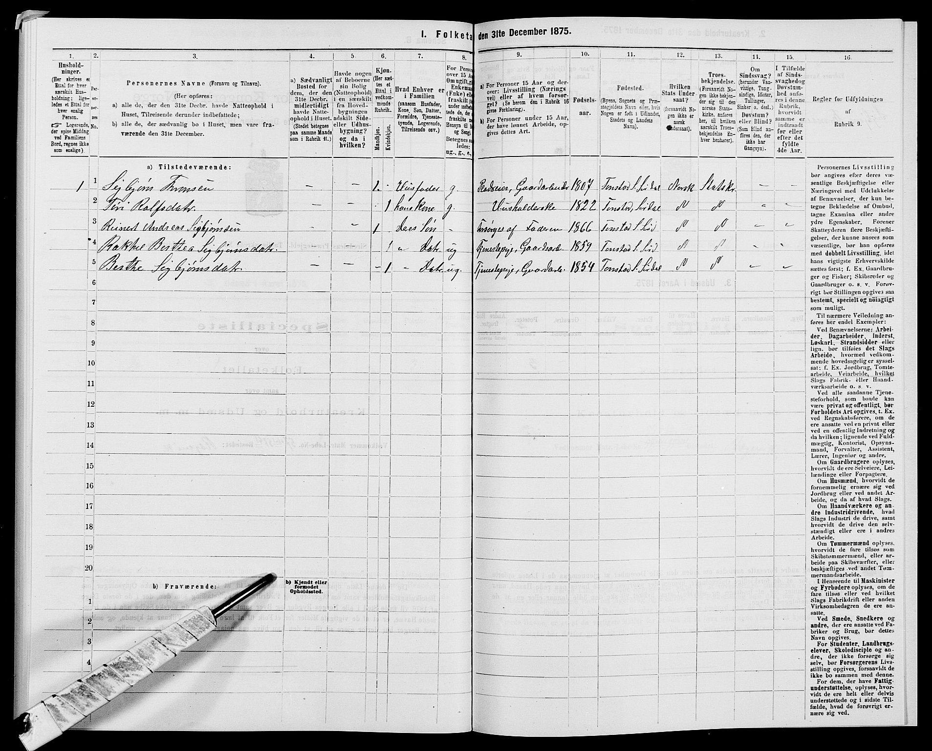 SAK, Folketelling 1875 for 1046P Sirdal prestegjeld, 1875, s. 265