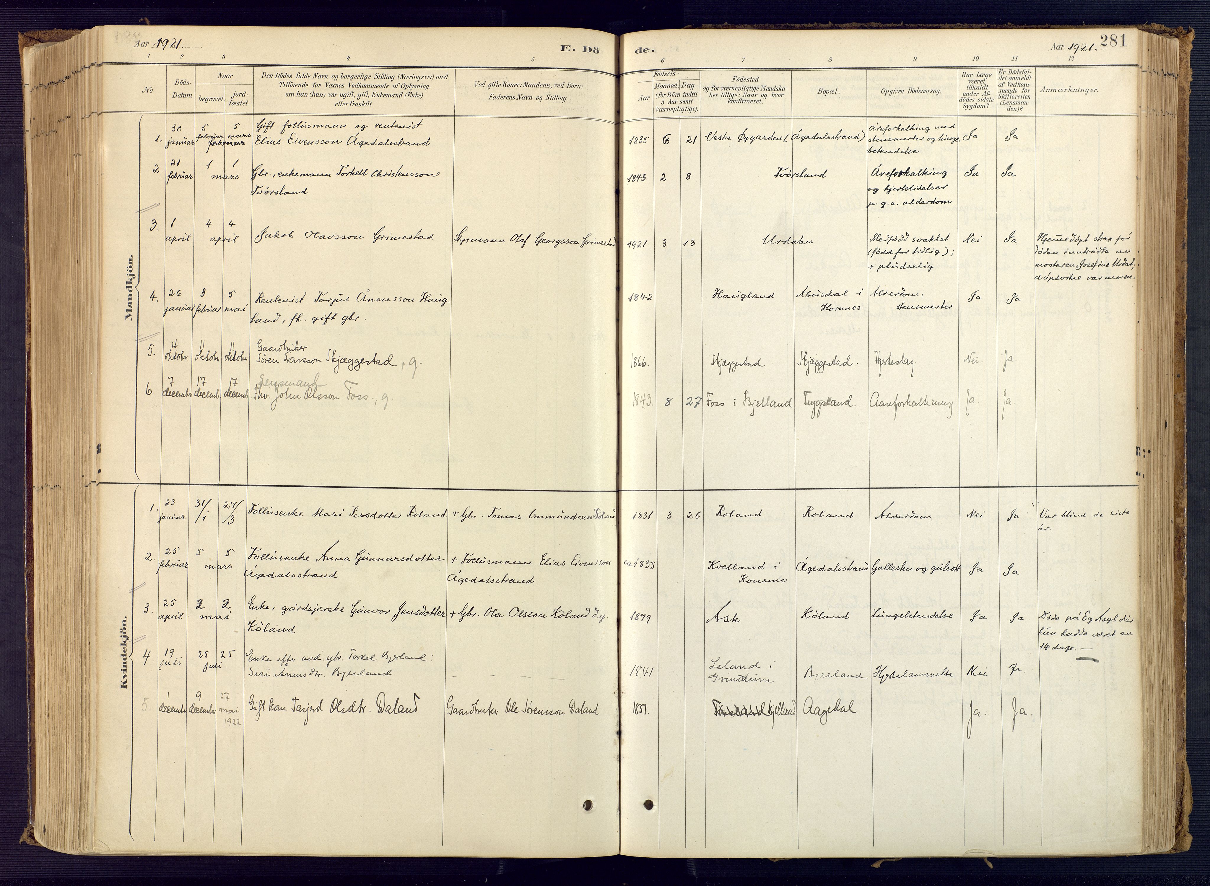 Bjelland sokneprestkontor, SAK/1111-0005/F/Fa/Faa/L0004: Ministerialbok nr. A 4, 1887-1923, s. 281