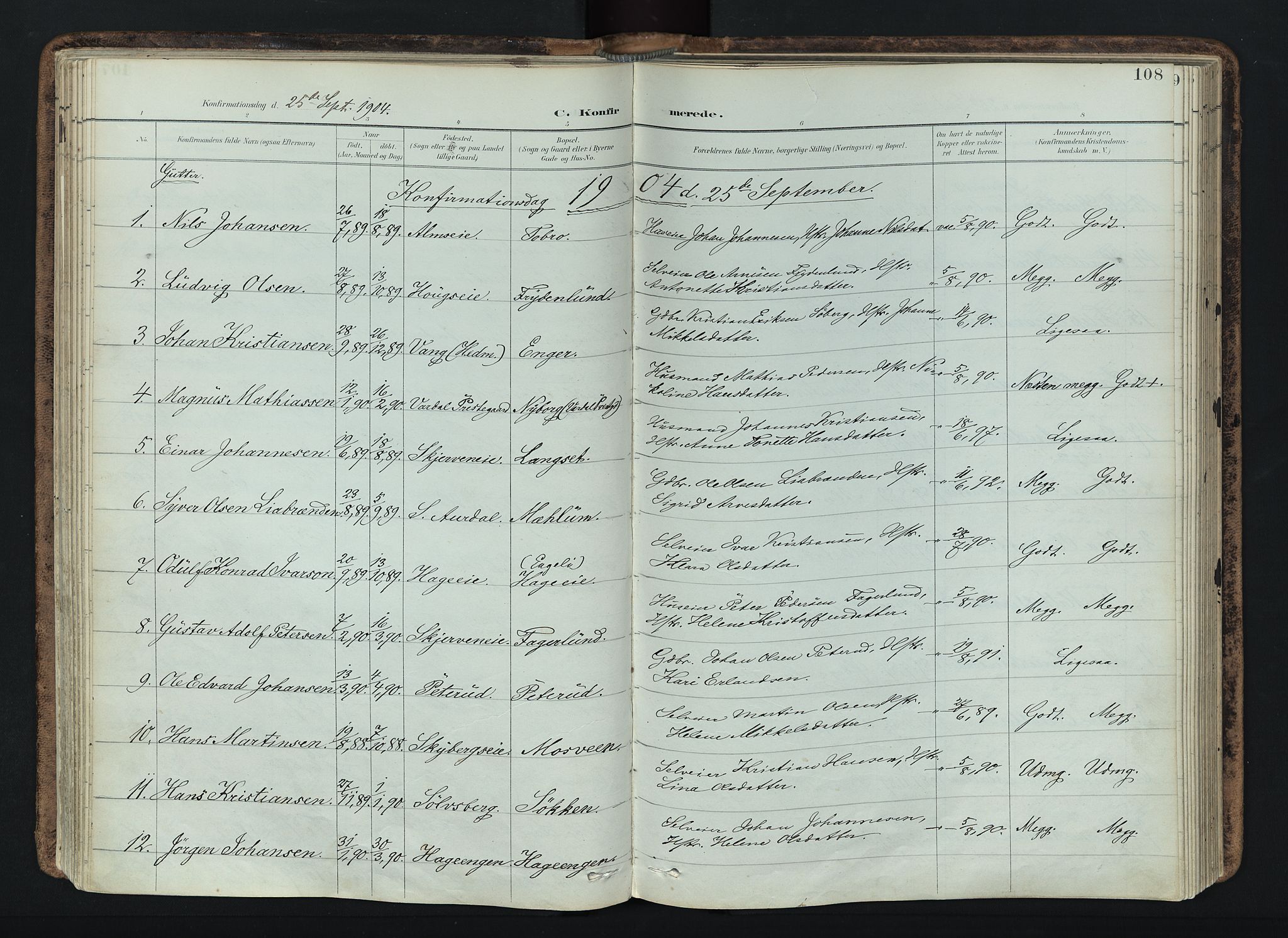 Vardal prestekontor, AV/SAH-PREST-100/H/Ha/Haa/L0019: Ministerialbok nr. 19, 1893-1907, s. 108