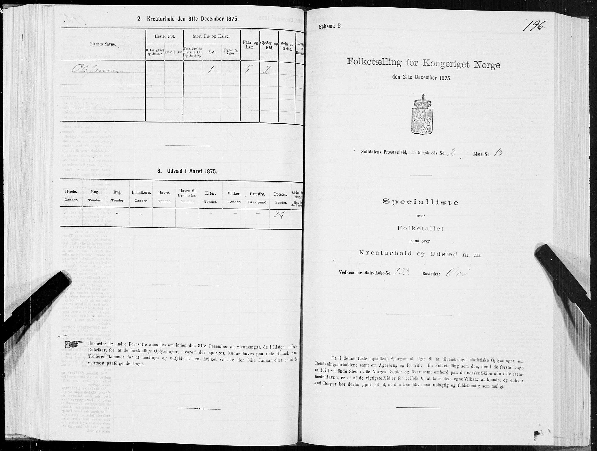SAT, Folketelling 1875 for 1840P Saltdal prestegjeld, 1875, s. 1196