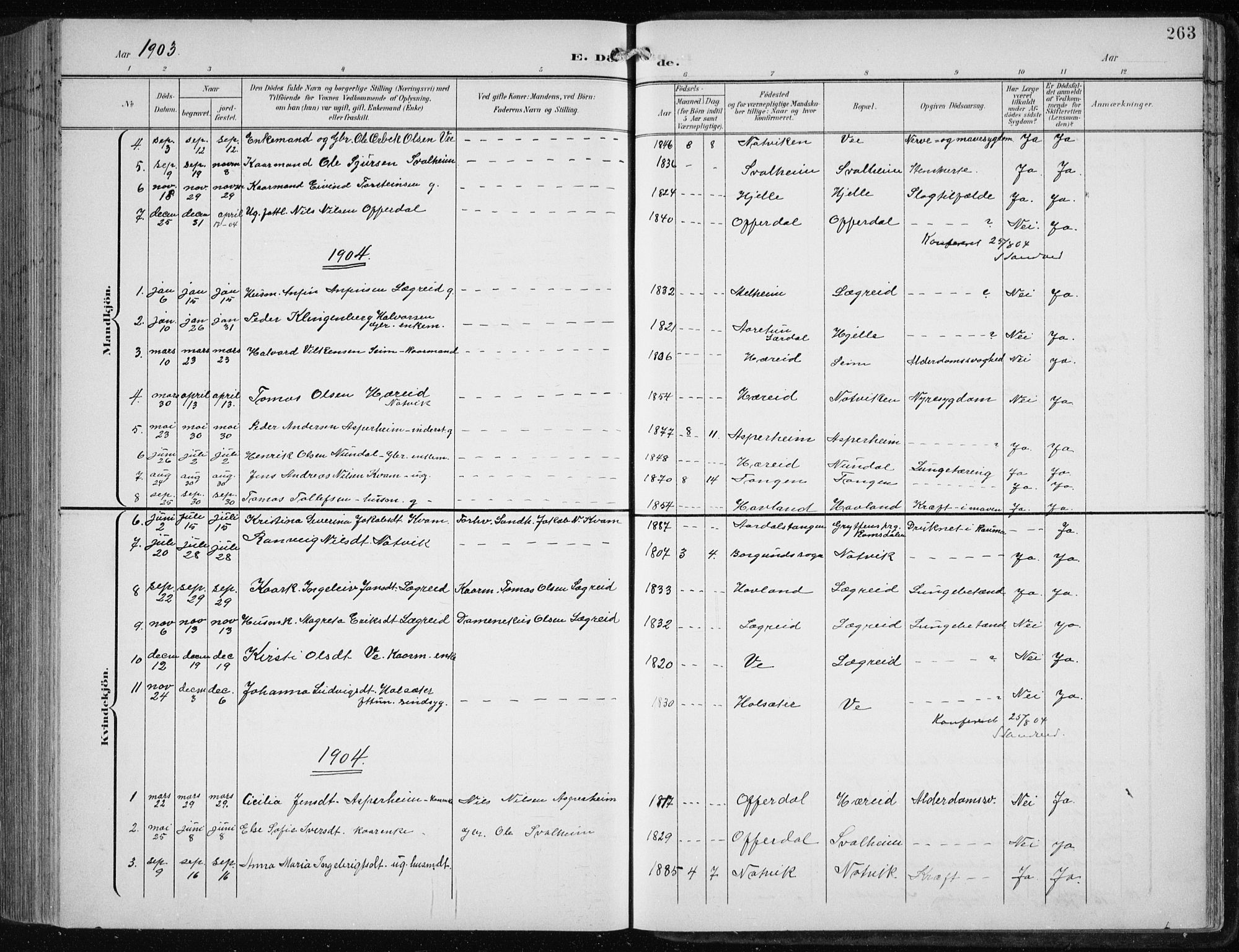 Årdal sokneprestembete, AV/SAB-A-81701: Klokkerbok nr. A 2, 1899-1939, s. 263