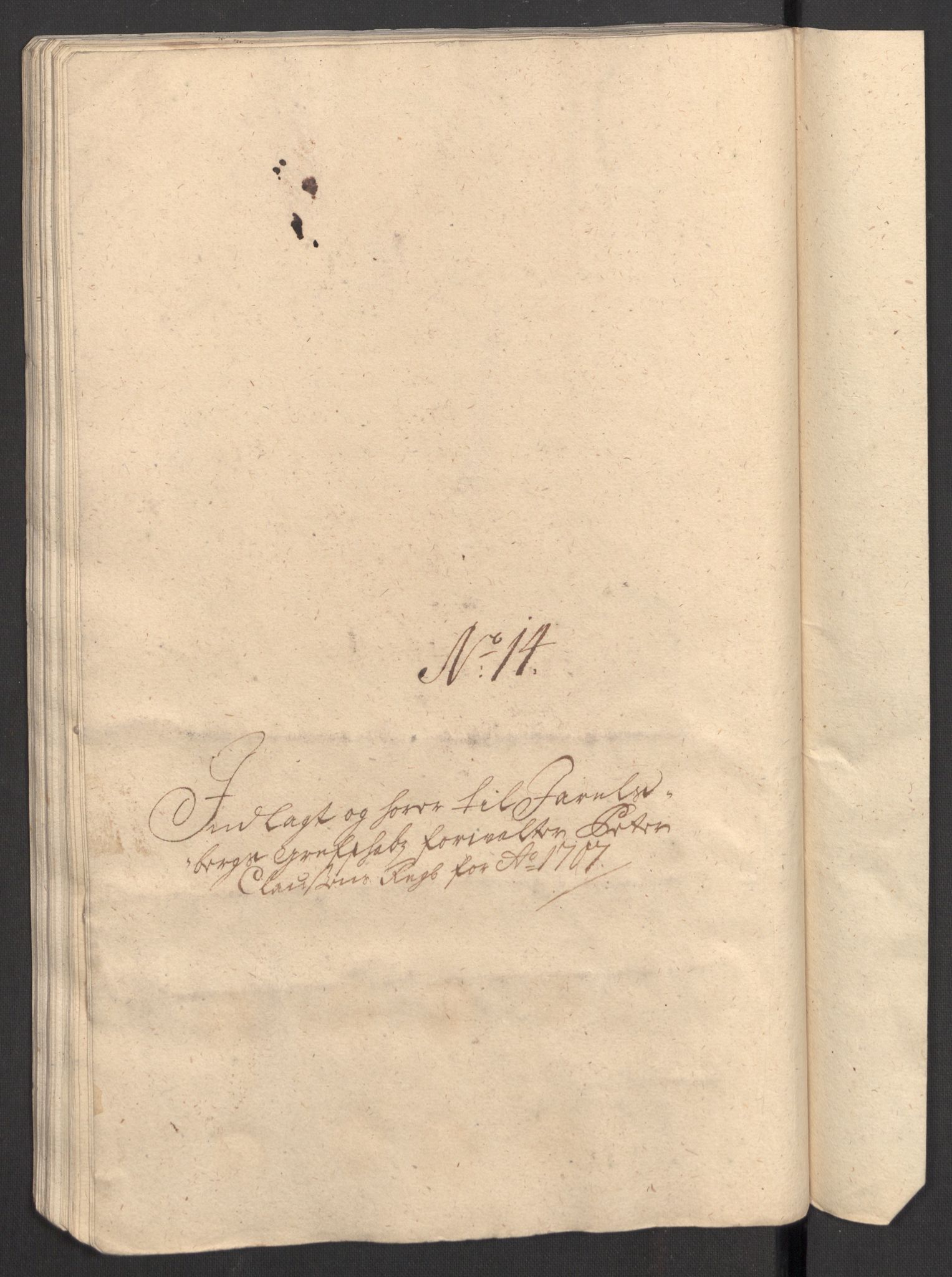 Rentekammeret inntil 1814, Reviderte regnskaper, Fogderegnskap, RA/EA-4092/R32/L1872: Fogderegnskap Jarlsberg grevskap, 1706-1707, s. 486