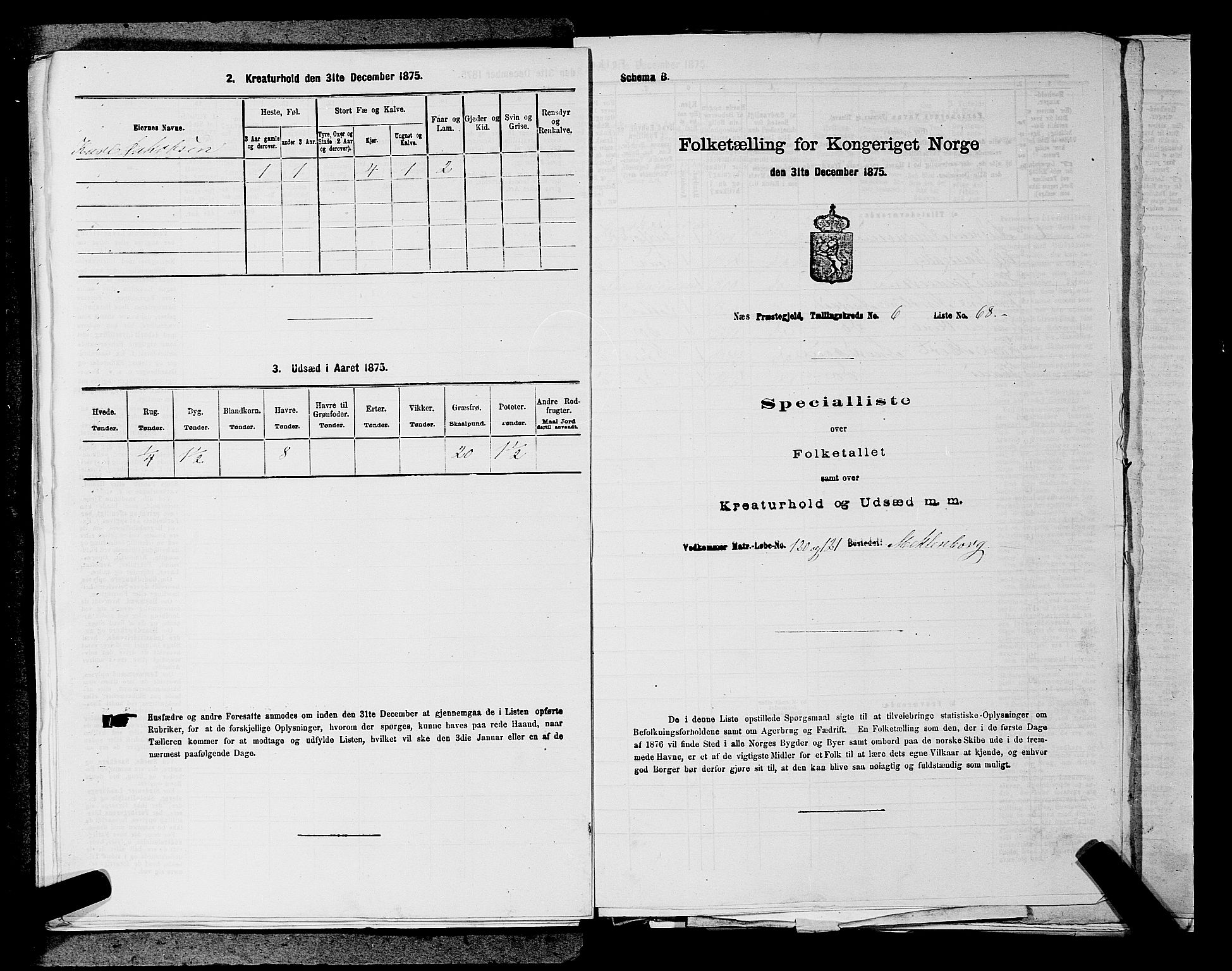 RA, Folketelling 1875 for 0236P Nes prestegjeld, 1875, s. 1021