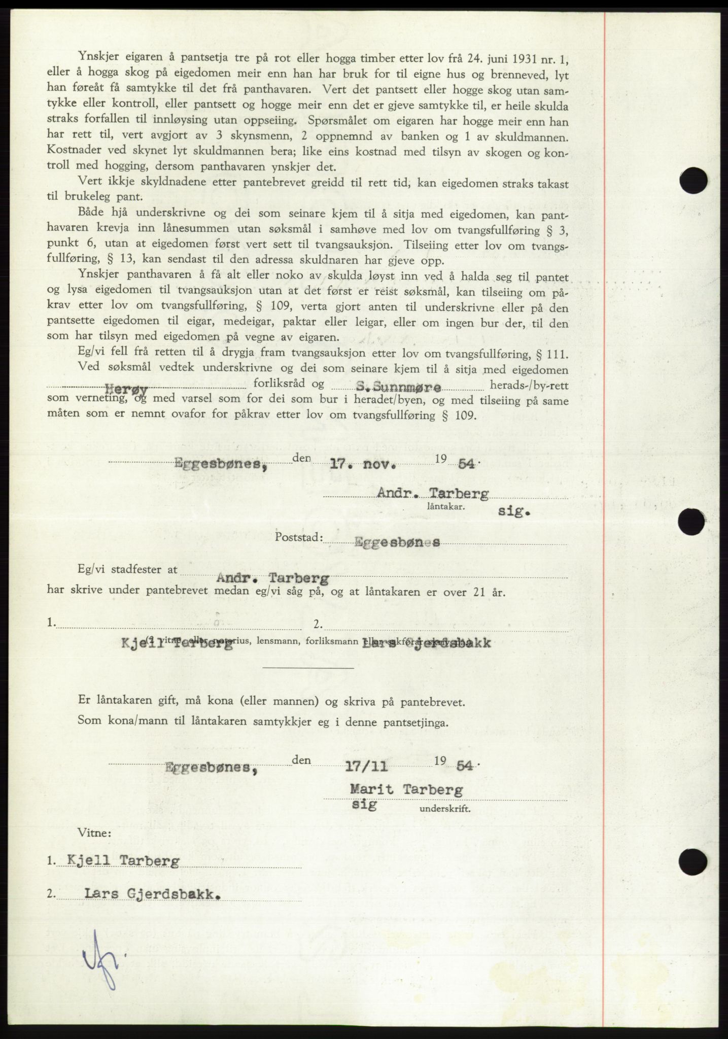Søre Sunnmøre sorenskriveri, AV/SAT-A-4122/1/2/2C/L0126: Pantebok nr. 14B, 1954-1955, Dagboknr: 3004/1954