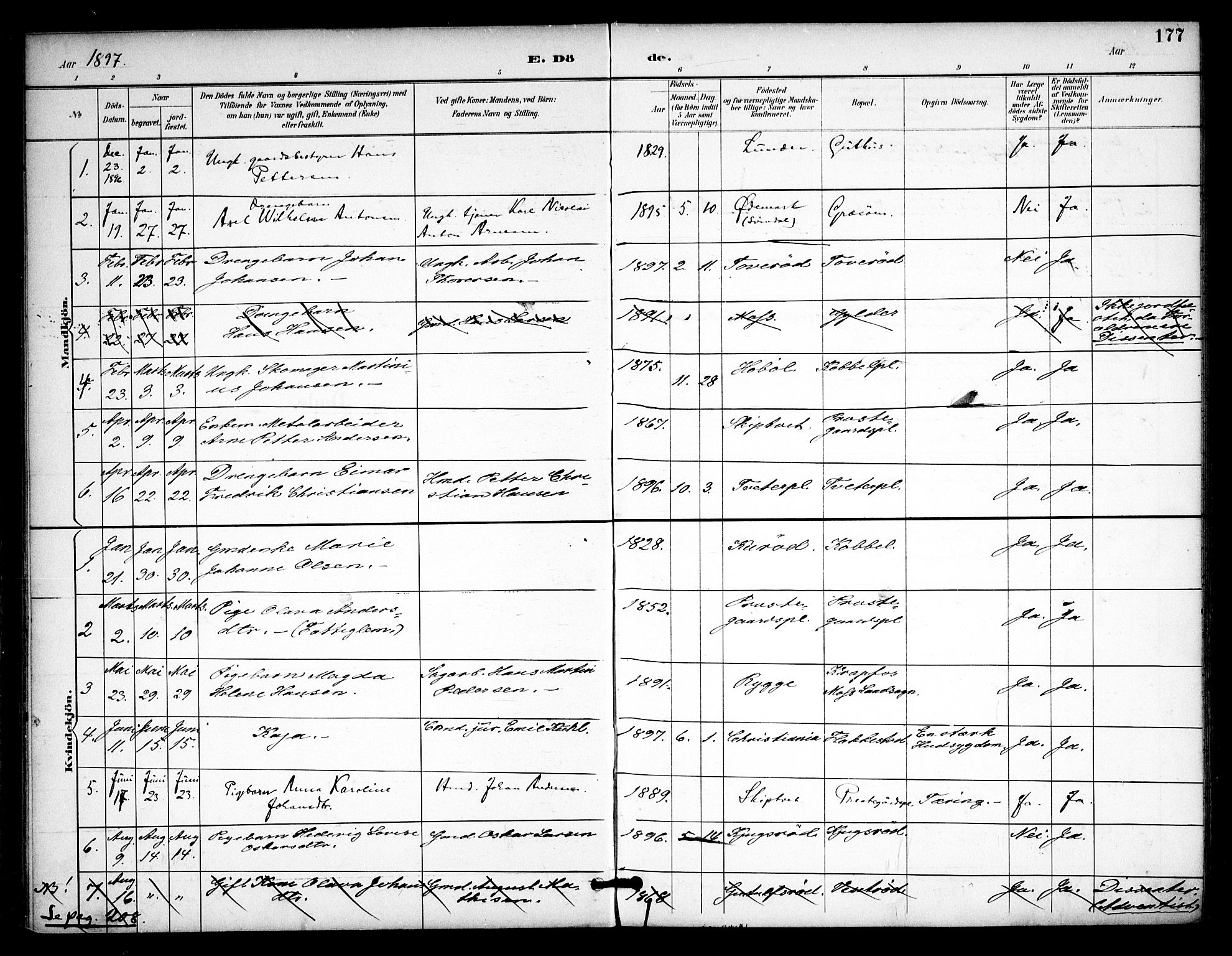 Våler prestekontor Kirkebøker, AV/SAO-A-11083/F/Fa/L0011: Ministerialbok nr. I 11, 1893-1909, s. 177