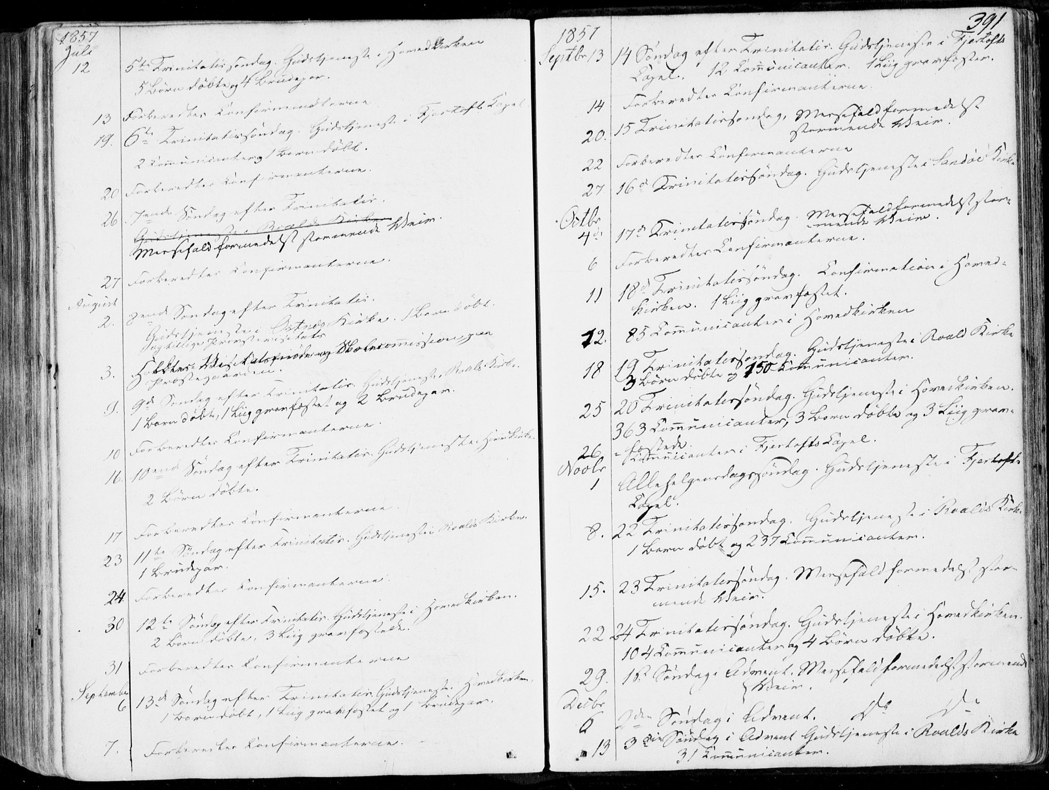 Ministerialprotokoller, klokkerbøker og fødselsregistre - Møre og Romsdal, AV/SAT-A-1454/536/L0497: Ministerialbok nr. 536A06, 1845-1865, s. 391