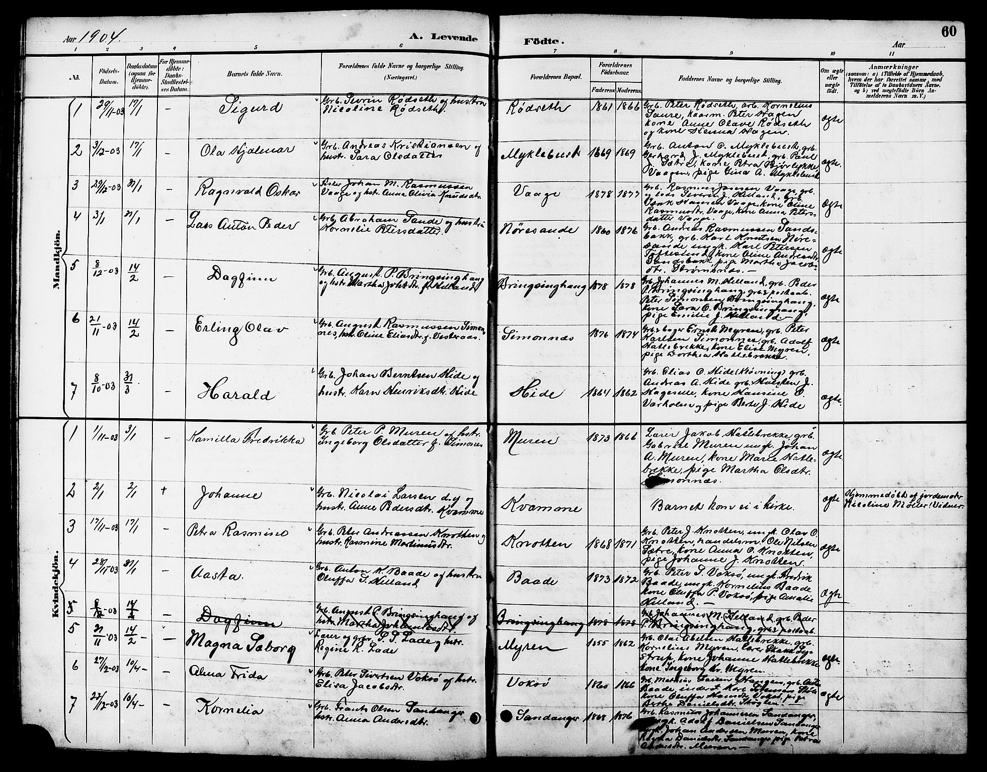 Ministerialprotokoller, klokkerbøker og fødselsregistre - Møre og Romsdal, AV/SAT-A-1454/503/L0049: Klokkerbok nr. 503C04, 1894-1915, s. 60