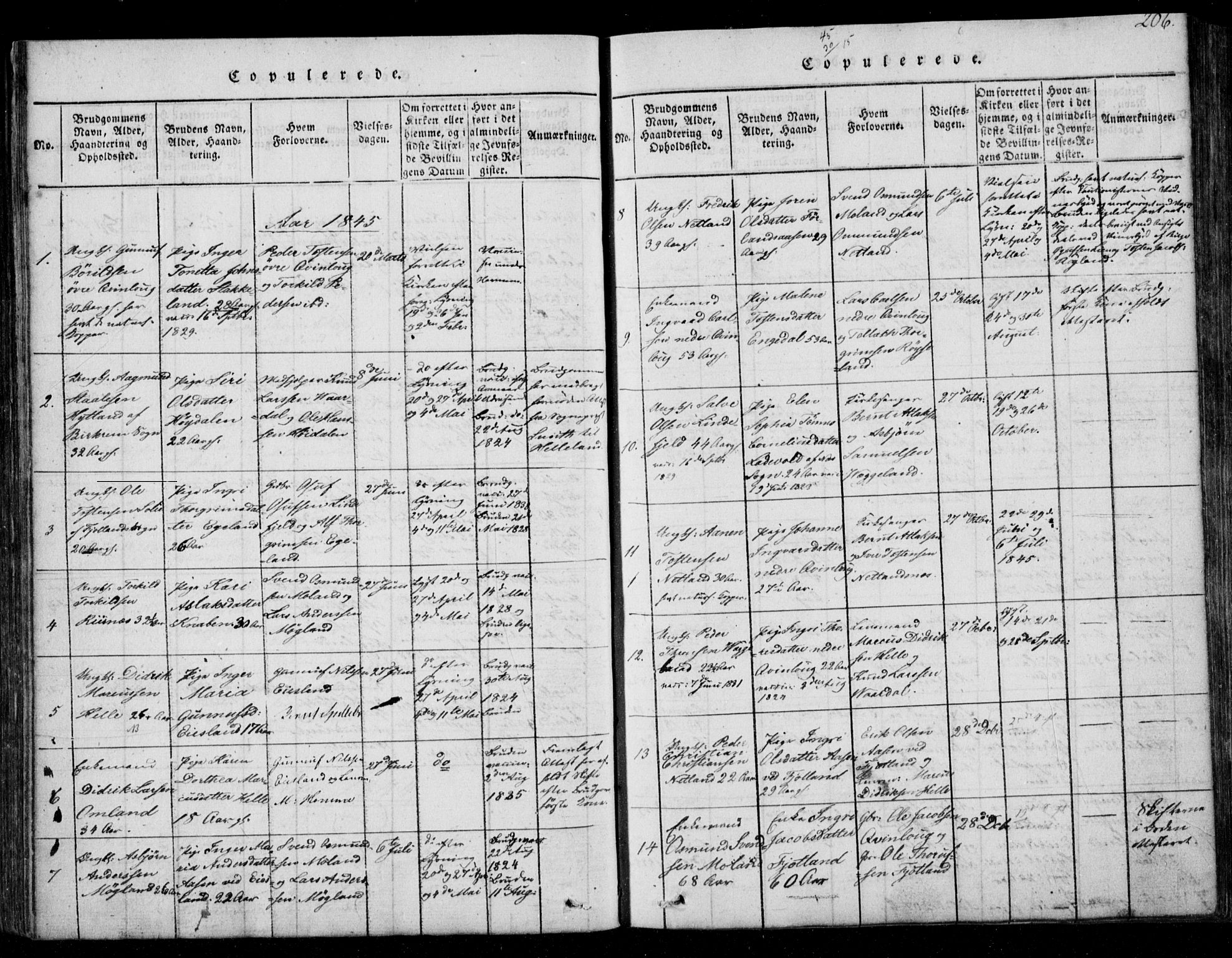 Fjotland sokneprestkontor, SAK/1111-0010/F/Fb/L0001: Klokkerbok nr. B 1, 1816-1849, s. 206