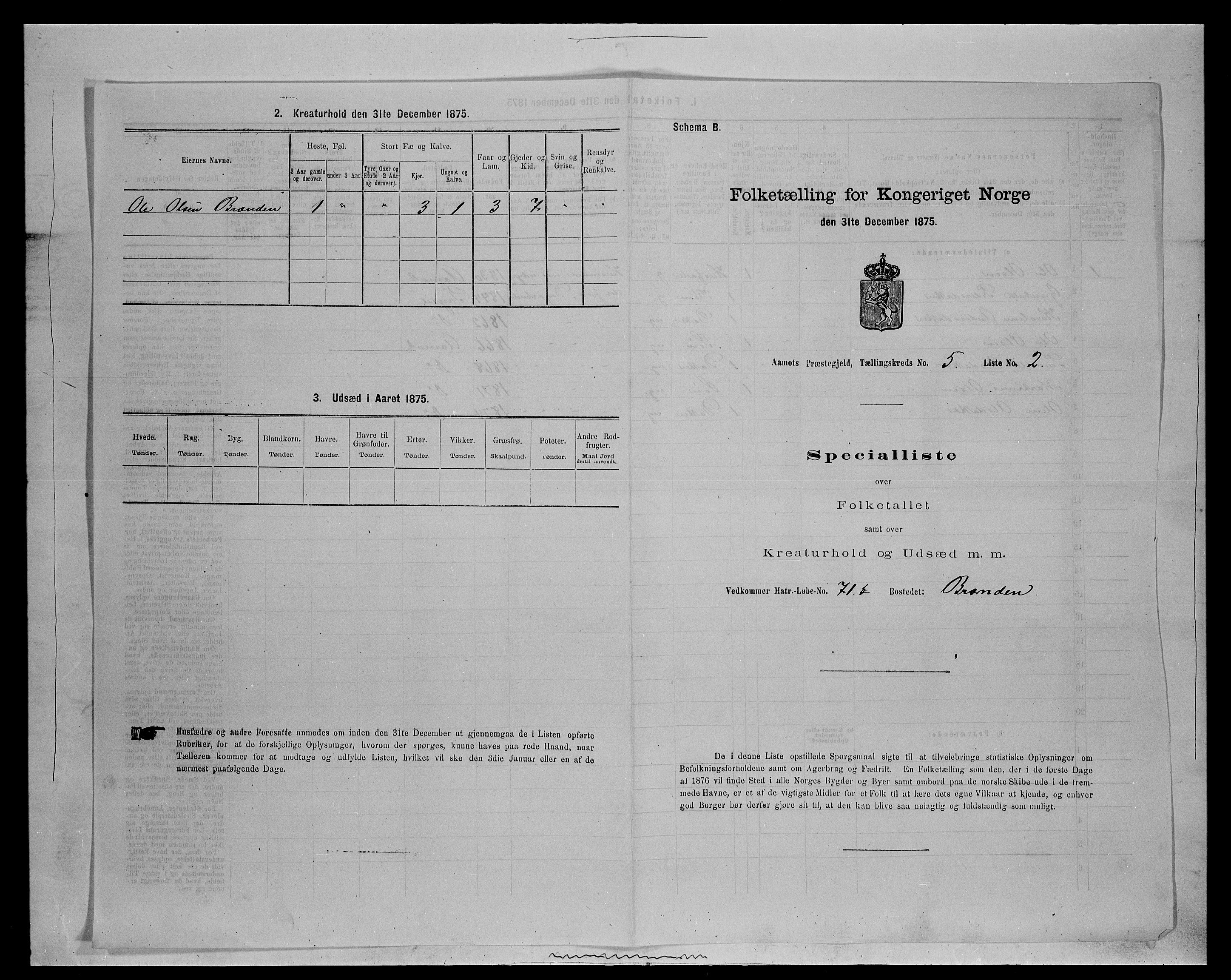 SAH, Folketelling 1875 for 0429P Åmot prestegjeld, 1875, s. 733