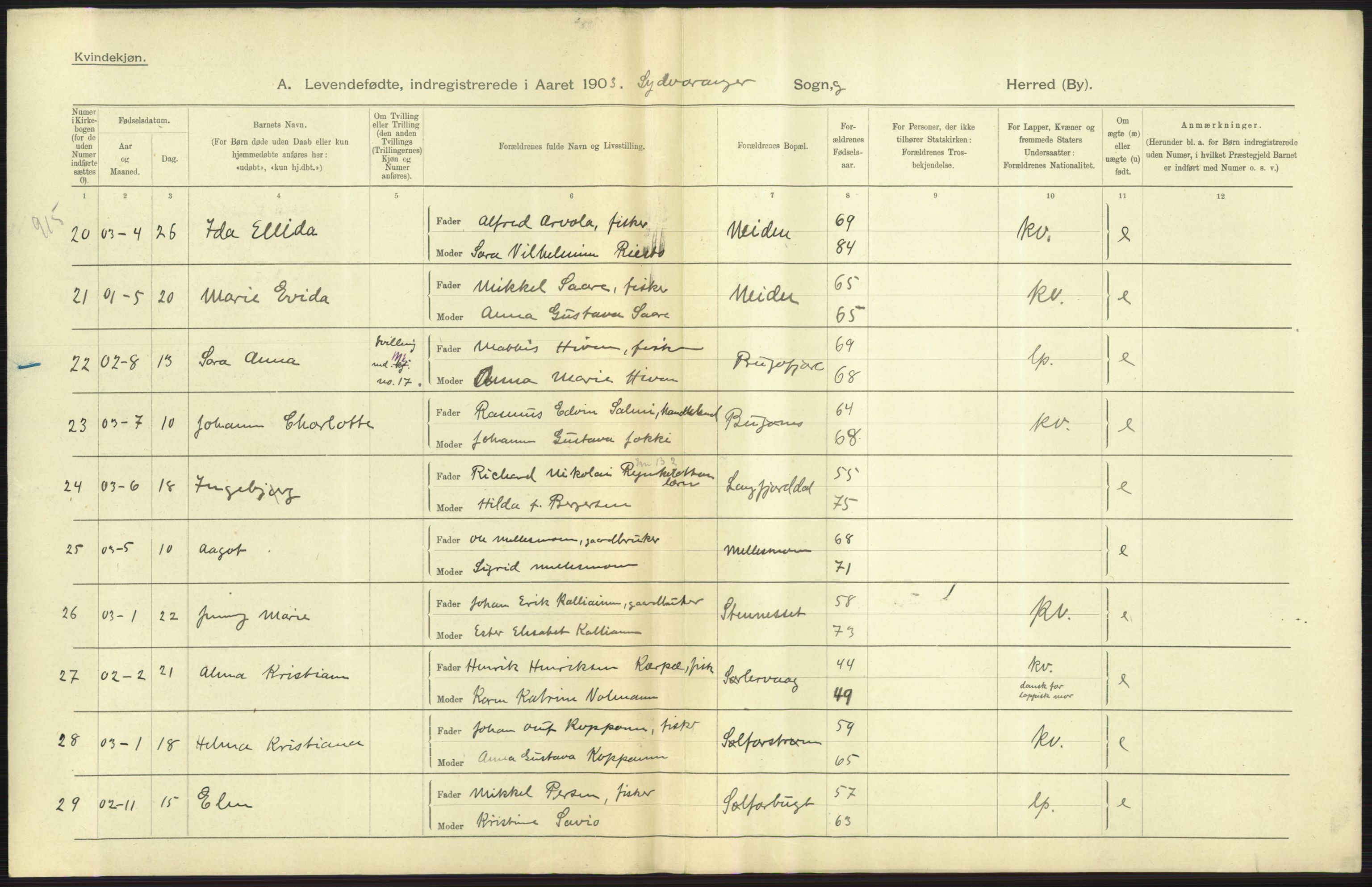 Statistisk sentralbyrå, Sosiodemografiske emner, Befolkning, AV/RA-S-2228/D/Df/Dfa/Dfaa/L0022: Finnmarkens amt: Fødte, gifte, døde., 1903, s. 9