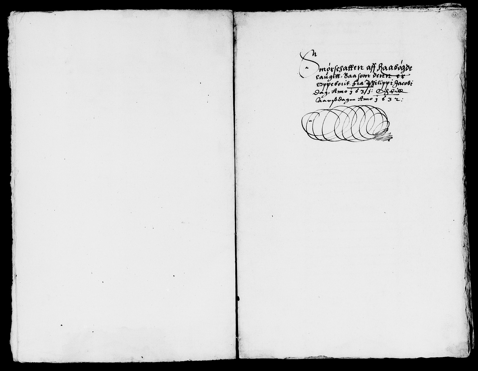 Rentekammeret inntil 1814, Reviderte regnskaper, Lensregnskaper, AV/RA-EA-5023/R/Rb/Rbq/L0021: Nedenes len. Mandals len. Råbyggelag., 1631-1633