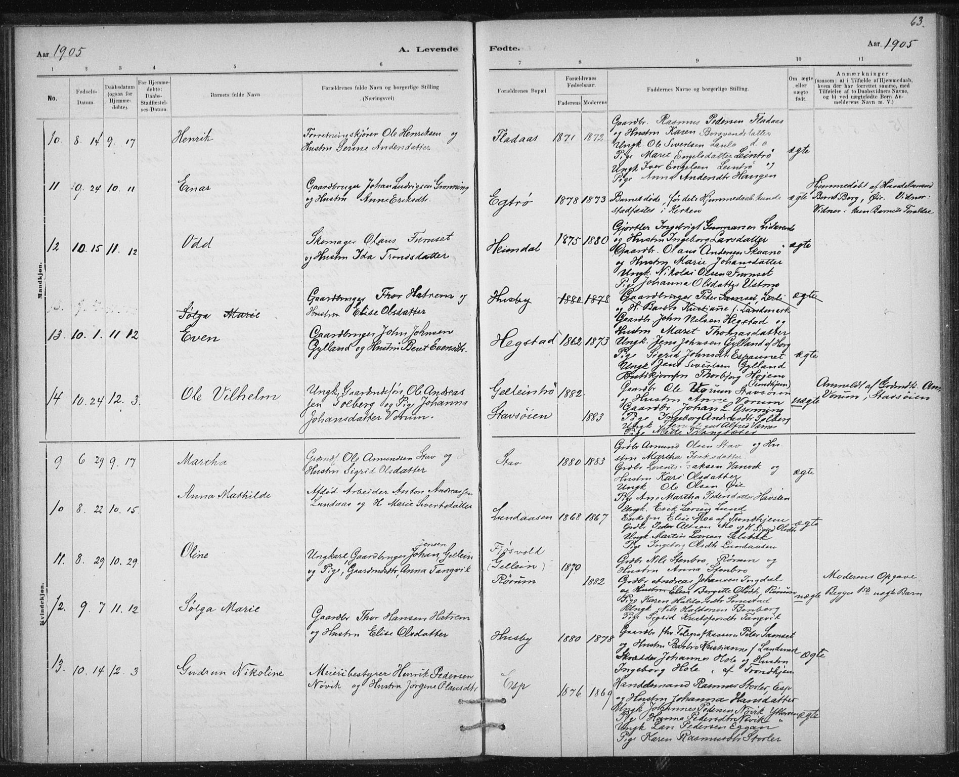 Ministerialprotokoller, klokkerbøker og fødselsregistre - Sør-Trøndelag, AV/SAT-A-1456/613/L0392: Ministerialbok nr. 613A01, 1887-1906, s. 63